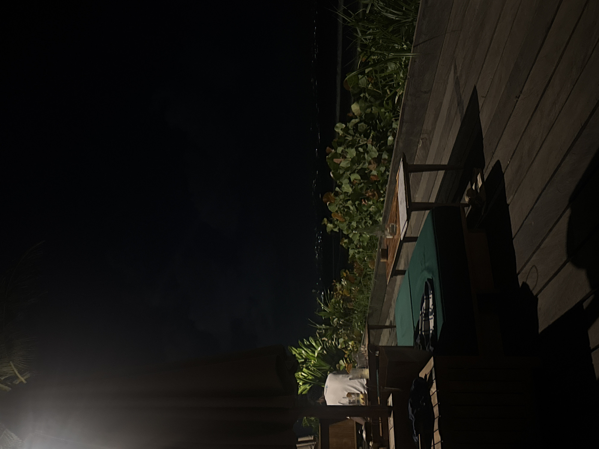 The image captures an outdoor night scene, likely a patio or dining area at a resort or restaurant, set at a 90-degree counter-clockwise rotation from its intended landscape orientation. On the right, a wooden deck with broad planks forms a significant part of the ground, illuminated by ambient light. Along the center of the image, lush tropical foliage and plants separate the seating area from a dark, expansive background, which appears to be the night sky or a distant, dimly lit landscape.
Several objects are visible within the seating area. There are wooden tables and chairs, one of which has a green surface, possibly a tabletop or an umbrella base. On the tables, glasses containing beverages are discernable, suggesting drinks are being served. One individual is partially visible, seated at a table. They are wearing a white or light-colored shirt and appear to be engaged in a relaxed activity, possibly enjoying a drink or conversation. Another dark, large fabric structure, possibly an umbrella or canopy, occupies the lower left corner, casting a shadow.
The overall atmosphere is tranquil and private, illuminated by soft, warm light that highlights the immediate area while the surroundings recede into darkness. The time of day is clearly night. No visible text can be identified. The presence of tropical plants aligns with the given location context of North Kuta, Indonesia, suggesting an evening out in a resort or beachside setting.