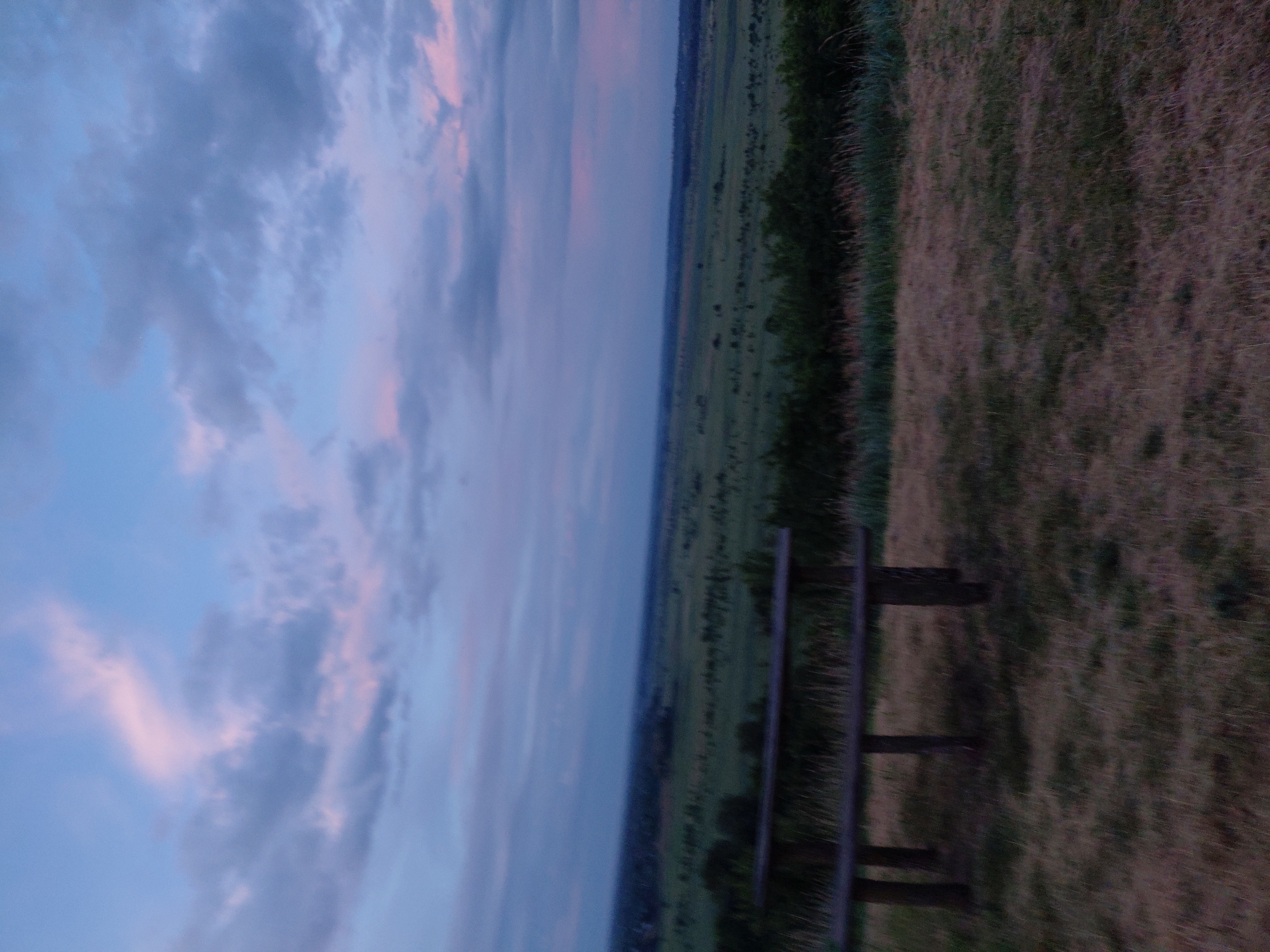 This is a photograph of a wooden picnic bench on a grassy hilltop overlooking a vast, rural landscape under a dusky sky. The bench is dark brown and appears weathered, with a rectangular seat and backrest supported by four legs. The surrounding ground is covered in dry, yellow-brown grass with some patches of green.
In the middle ground, a line of dark green bushes and trees runs horizontally across the frame, separating the hilltop from the expanse below. Beyond this, the landscape unfolds as a patchwork of green fields, possibly agricultural land, stretching to the horizon. The distant horizon is marked by a faint blue haze, suggesting a long distance.
The sky above is a prominent feature, with soft, wispy clouds illuminated by the fading light of dusk. Hues of pale blue, soft pink, and light purple blend together, creating a serene and atmospheric ambiance. The overall lighting is dim, characteristic of twilight. The image is taken from a slightly elevated perspective, looking down and across the landscape.