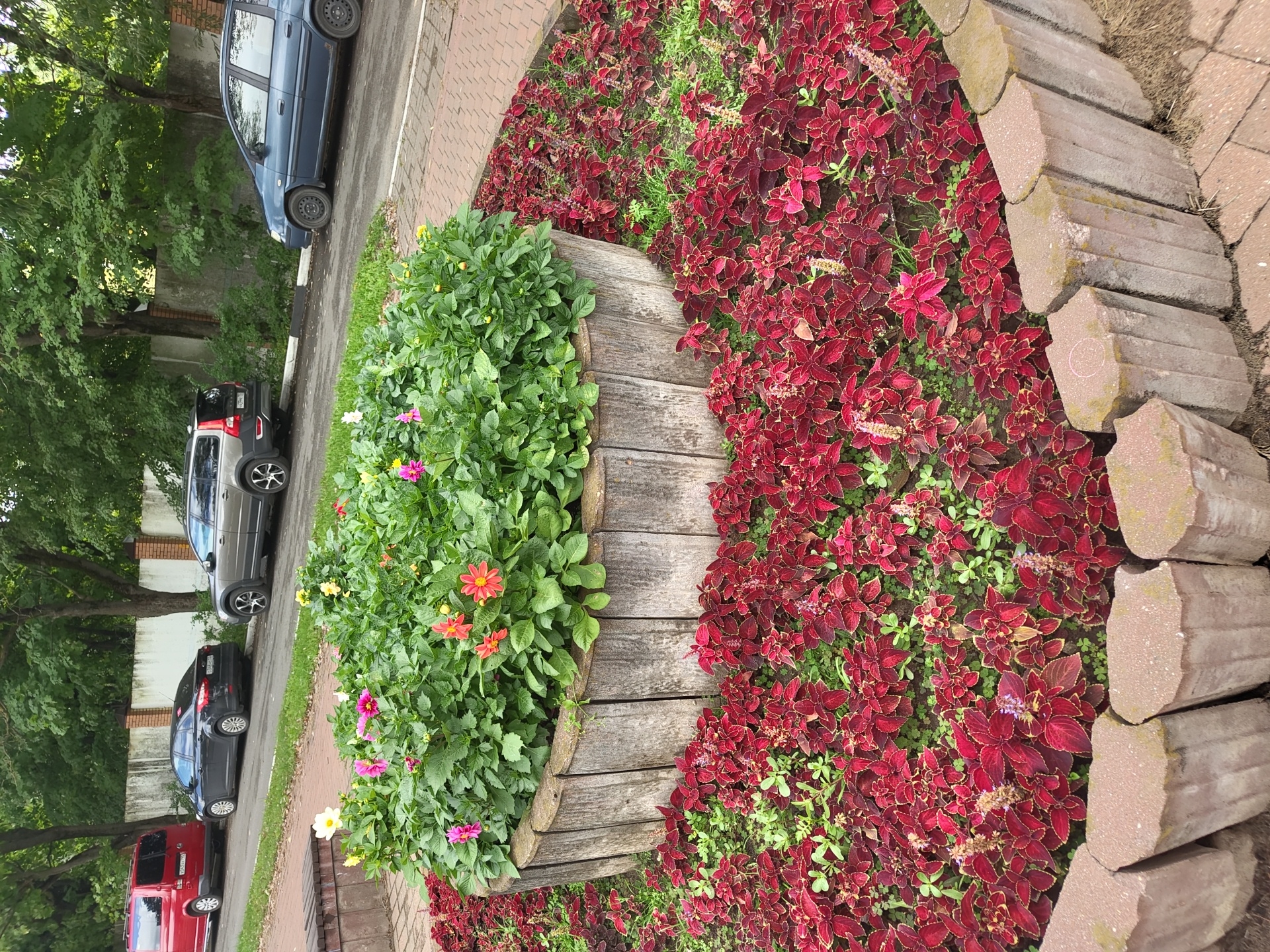 The image depicts a street scene in Ramenskoye, Russia, featuring a circular flowerbed planted with a variety of flowers and foliage. The flowerbed is bordered by rough-hewn wooden logs and then by rough concrete bricks, suggesting a public park or a residential area. Behind the flowerbed, a paved walkway leads to a street where several cars are parked: a red van, a dark sedan, a grey SUV, and a blue hatchback. The street is lined with trees and a low wall. The scene appears to be set during the daytime under natural light.