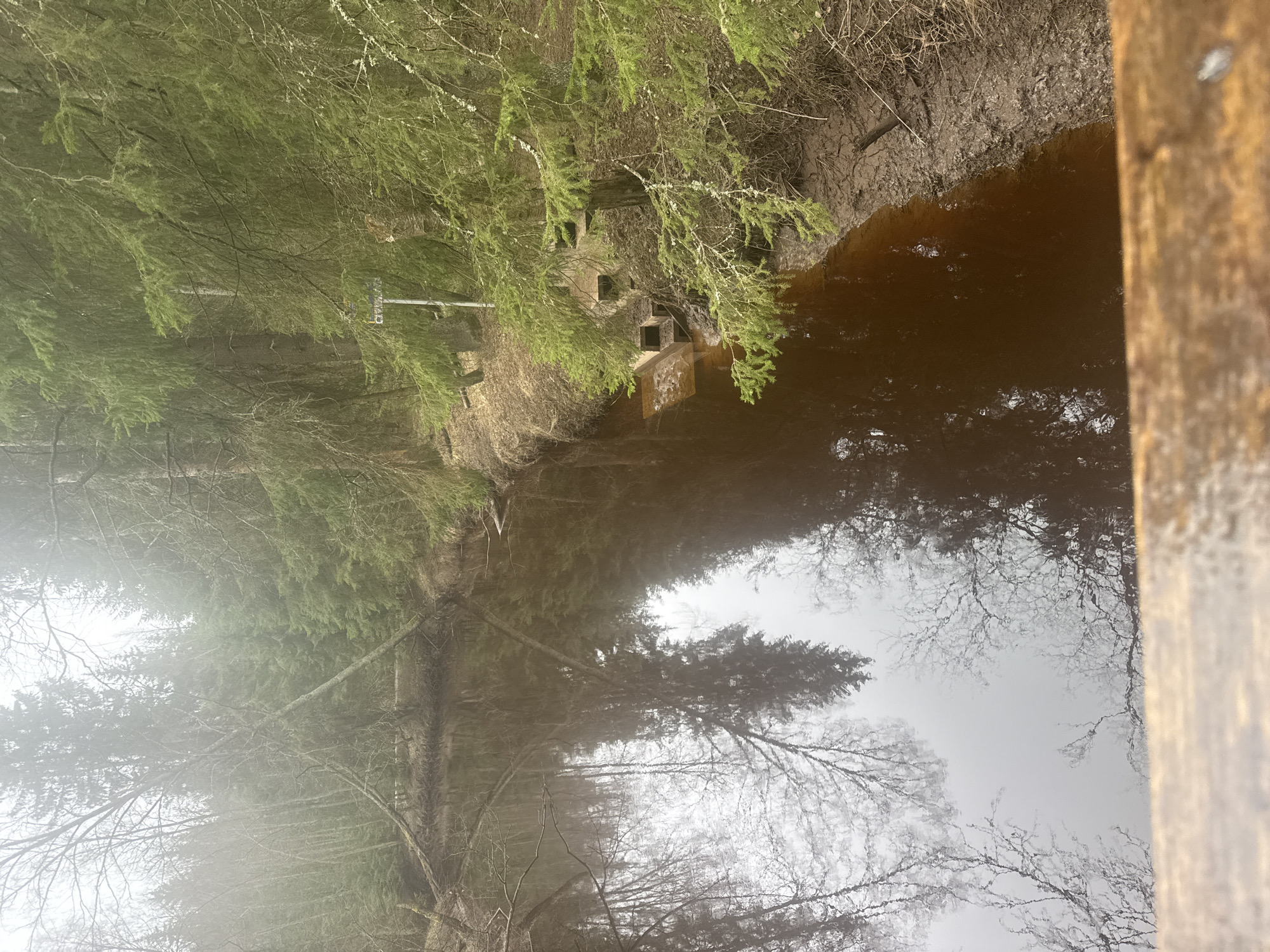 A slightly rotated outdoor photograph shows a murky brown body of water adjacent to an embankment with various trees and foliage. The scene is viewed from an elevated perspective. The water appears to reflect the overcast sky and the silhouettes of bare trees. A square concrete structure with a series of square openings is visible on the edge of the embankment, near where the water meets the land. A wooden post is situated at the right edge of the image. A street sign is situated on the bank. The location may be Rappolovo, Russia.