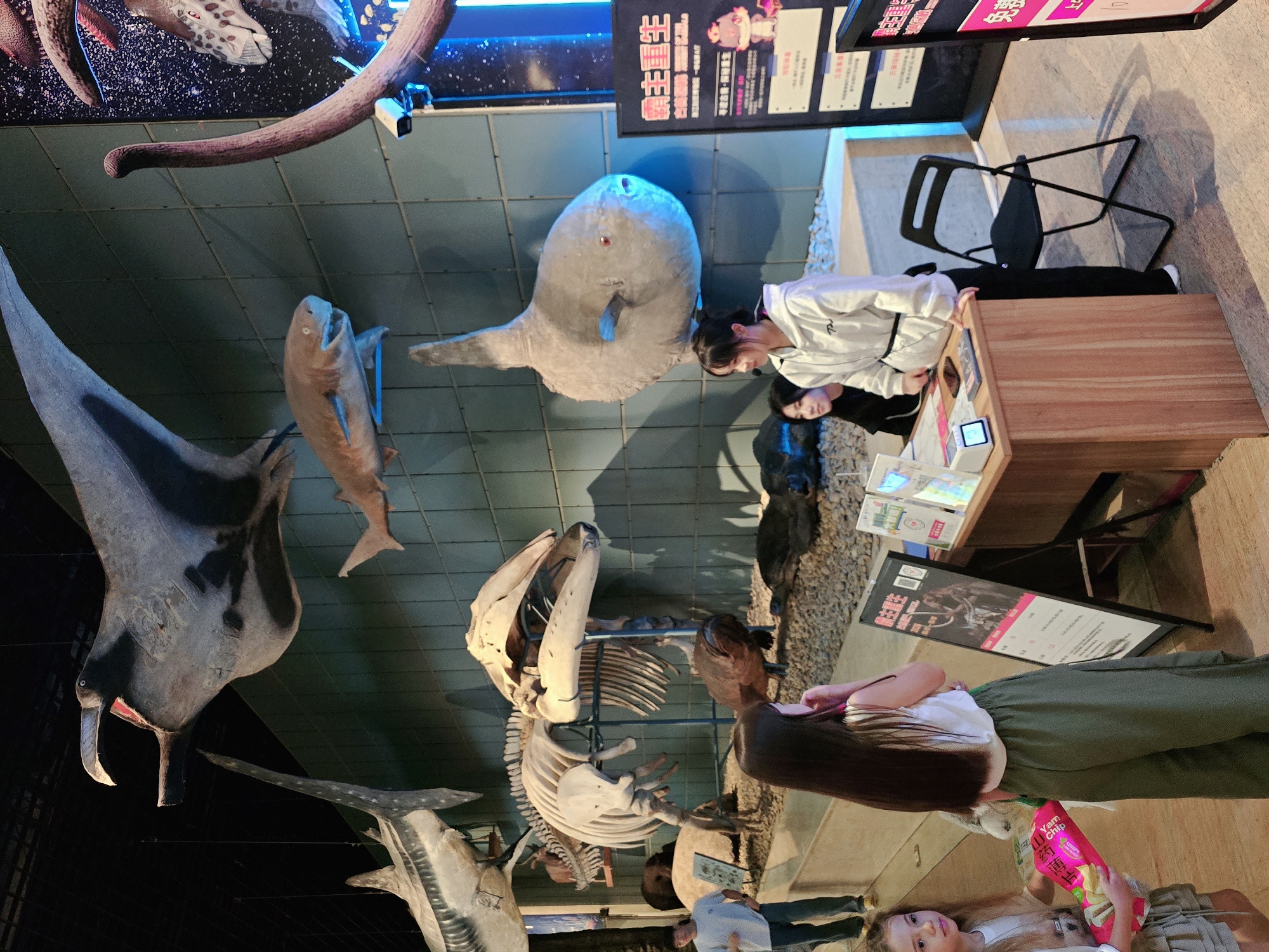 This image depicts an indoor exhibition hall, possibly a natural history museum, featuring various large-scale models and skeletons of ancient creatures. In the foreground, a young girl with long brown hair wearing a white top and green pants stands with her back to the camera, facing a display. Next to her, another young girl with blonde hair and a grey outfit is holding a bag of chips. They appear to be looking at an information display board.
Behind them, a wooden counter with a tablet and some books is staffed by a young woman in a white hooded jacket and black pants. She is interacting with another woman seated behind the counter.
The background is dominated by large exhibits: a skeleton of a marine mammal, possibly a whale, is suspended from the ceiling. Above that, the head of a large, dark creature with an open mouth and sharp teeth is visible. Further back, models of sharks and a large sunfish hang on the wall. The walls are tiled in a greenish hue. A dark-colored dinosaur skeleton or model with a long neck is also partially visible on the right side of the image. The floor appears to be a polished surface reflecting the lighting. Signs with Chinese text are present, one of which is an upright display board with images and text.
The overall impression is of an educational exhibit designed to showcase marine and possibly terrestrial prehistoric life. The presence of visitors and staff suggests the exhibition is open to the public. While the location is specified as Gongshu District, China, this detail cannot be visually confirmed from the image content itself.