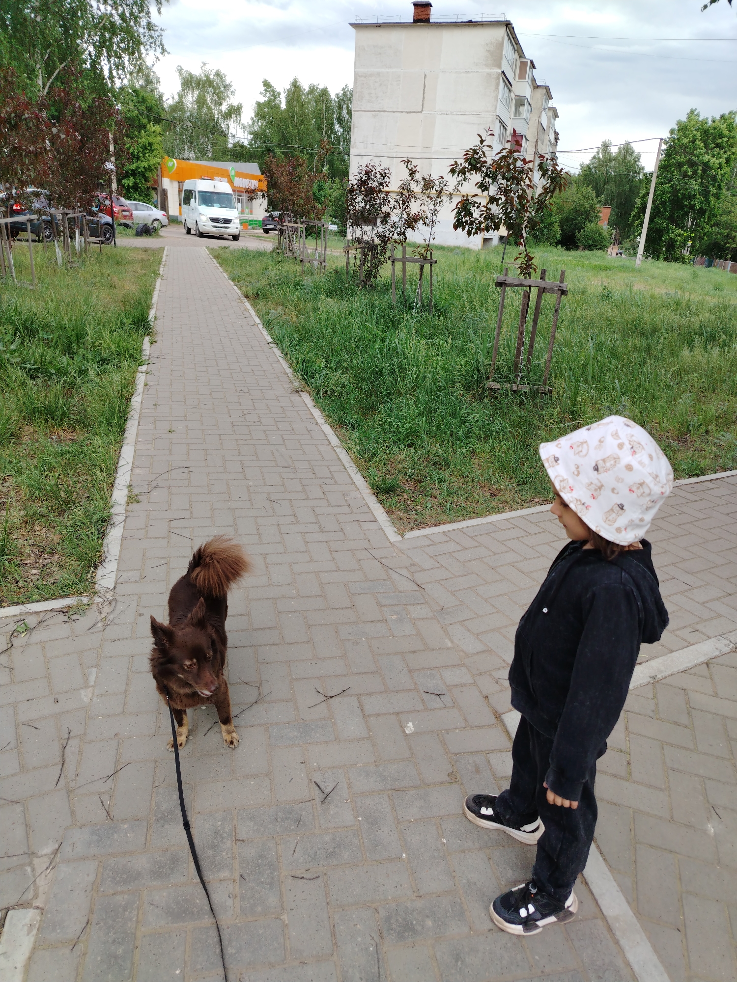 Memory