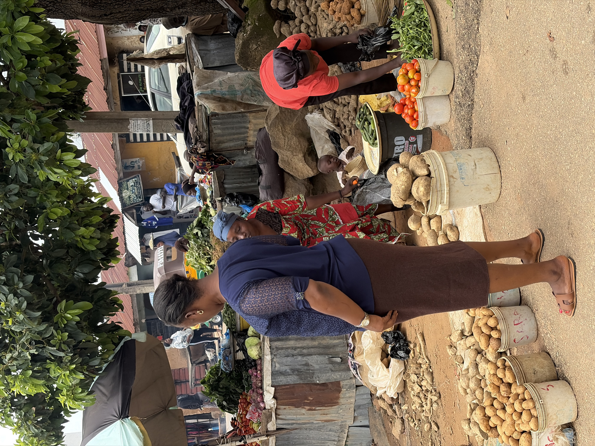 In Jos, Nigeria, an outdoor market scene unfolds under a canopy of green foliage and a weathered, red-roofed structure. A woman in a blue blouse and brown skirt stands in the foreground, her back to the camera, observing the market activities. To her right, another woman in a vibrant red and green patterned dress, her head covered with a blue cloth, appears to be arranging vegetables.
The market is bustling with goods. Piles of potatoes are visible in buckets, alongside tomatoes and leafy green vegetables. Several large tubers, possibly yams, are displayed in a bucket. In the background, a young child sits on the ground, near a large black bucket filled with okra. Further back, stalls exhibit more produce and various wares, while a tricycle and a car suggest transportation and commerce. The ground is a mix of packed earth and asphalt, characteristic of a lively urban market. The overall impression is one of a vibrant, working marketplace in Jos.