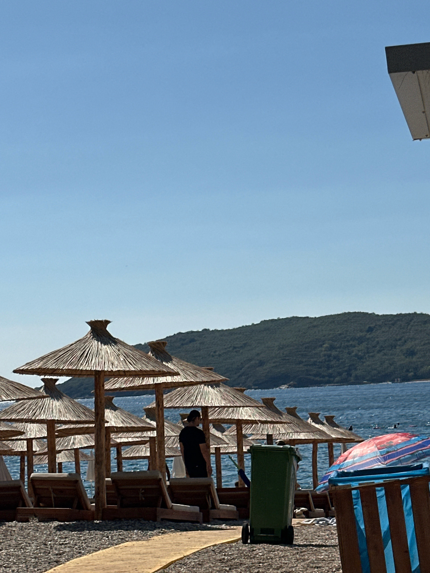 The image depicts a sunny day on a pebbled beach, likely in Budva, Montenegro, with rows of thatched umbrellas and lounge chairs set up for beachgoers. The calm, blue sea stretches towards a verdant, tree-covered hill in the background. The sky is a clear, pale blue. In the foreground, a person in a black t-shirt stands near several beach umbrellas, facing away from the camera. To the right, a green trash bin with wheels is positioned on the pebbles, and a partially visible brightly colored beach umbrella with red and blue stripes is also present. A wooden walkway or path is visible on the lower left side of the image, leading towards the beach. The overall atmosphere is relaxed and suggestive of a typical summer day at a popular tourist destination.