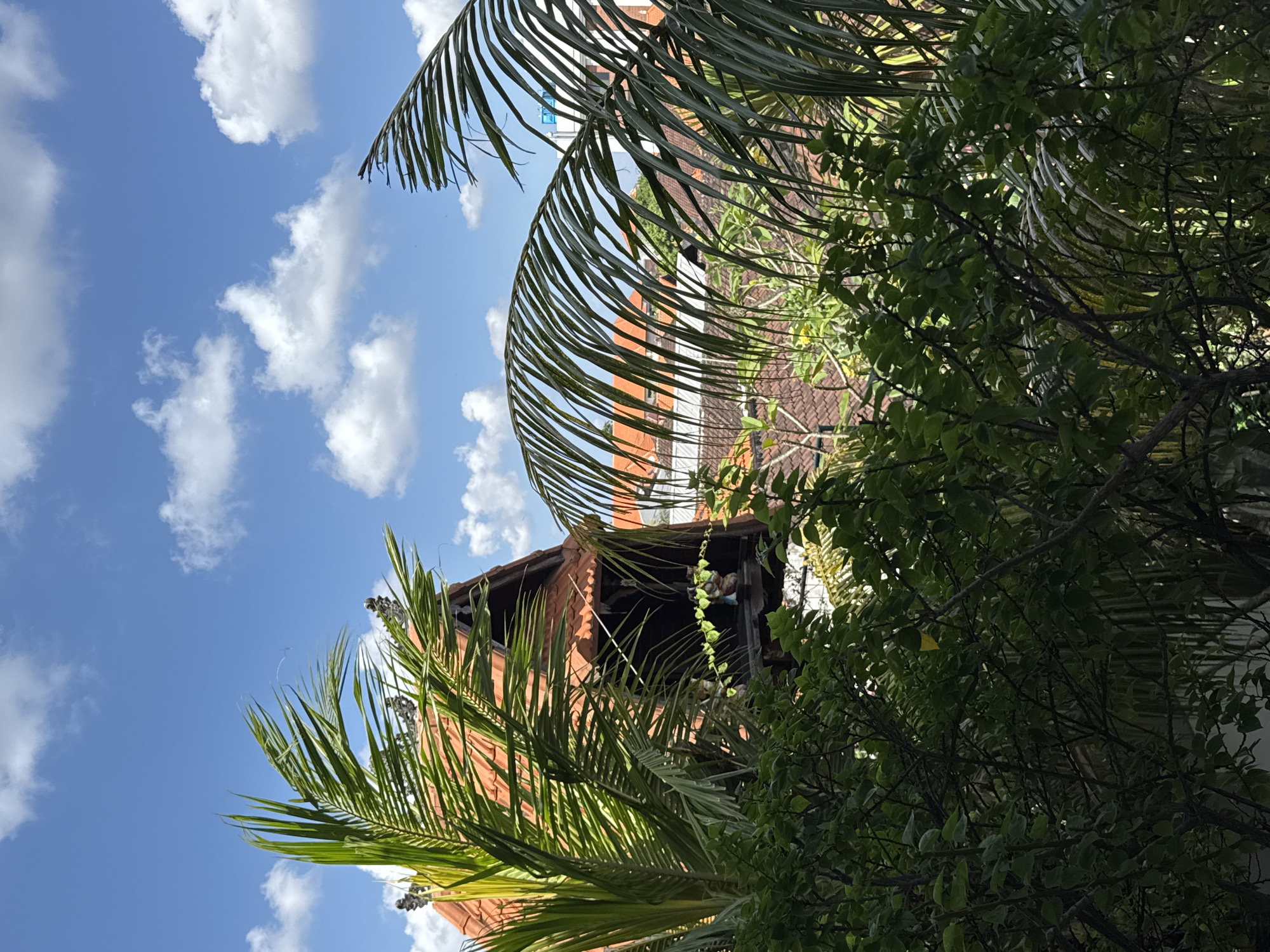 This image shows a tropical view in North Kuta, Indonesia. In the foreground, lush green foliage and palm fronds obscure much of the scene. Partially visible behind the vegetation is the roof and upper story of a building with red tile roofing, characteristic of Indonesian architecture. The roofline is steep and features decorative finials. Sunlight filters through the leaves, creating dappled light. In the background, a bright blue sky is dotted with fluffy white clouds. The overall impression is one of a warm, sunny day in a tropical climate.