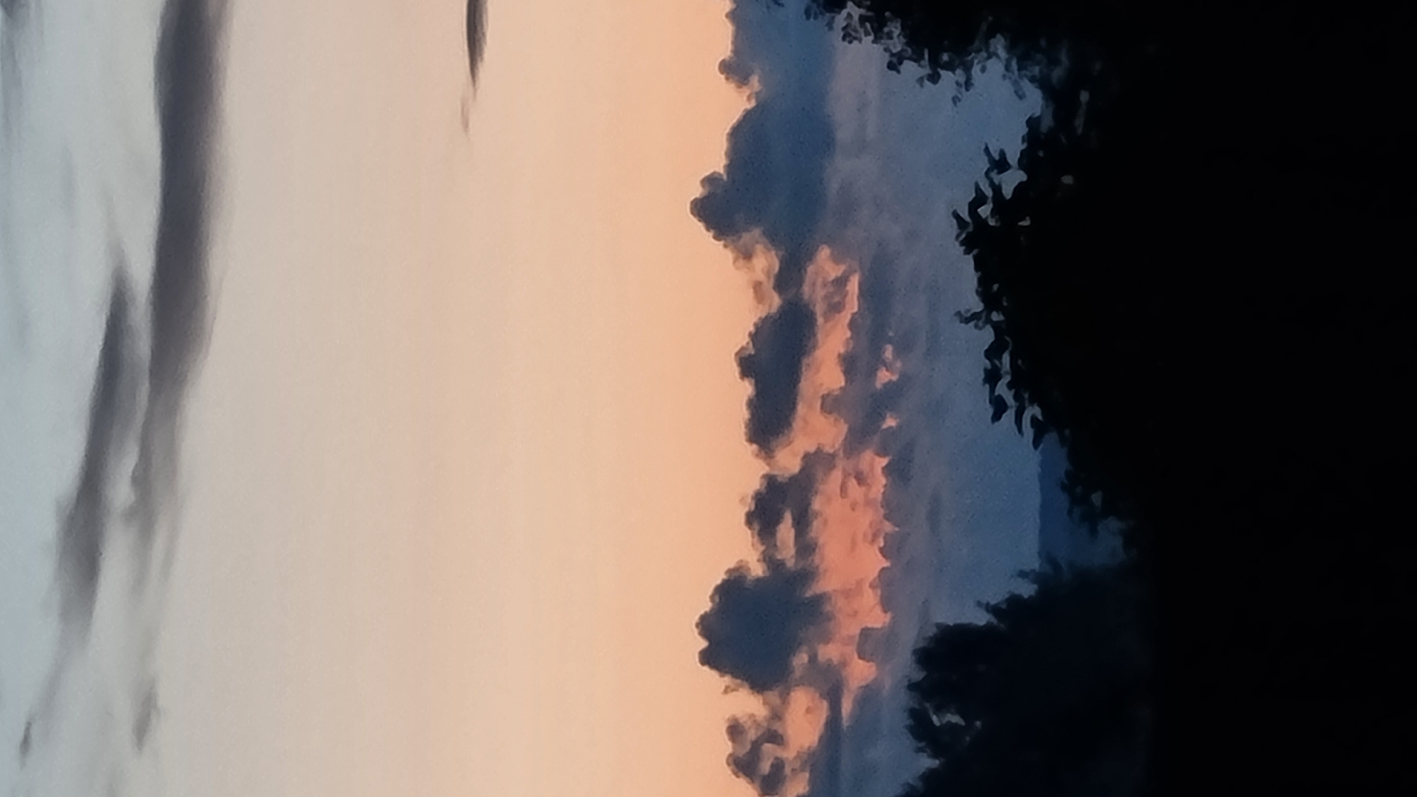 The image depicts a twilight sky with scattered clouds. The sky transitions from a pale blue at the top to a soft peach or orange hue lower down. Dark, billowy clouds are visible in the mid-ground, with some tinged with pink from the sunset. Silhouetted trees and foliage form a dark band across the bottom of the image, obscuring the ground and any urban features. The overall impression is of a natural landscape at dusk. There are no discernible people, objects, or actions. This scene is consistent with the environment found in Vysokoe, Russia, during twilight hours.