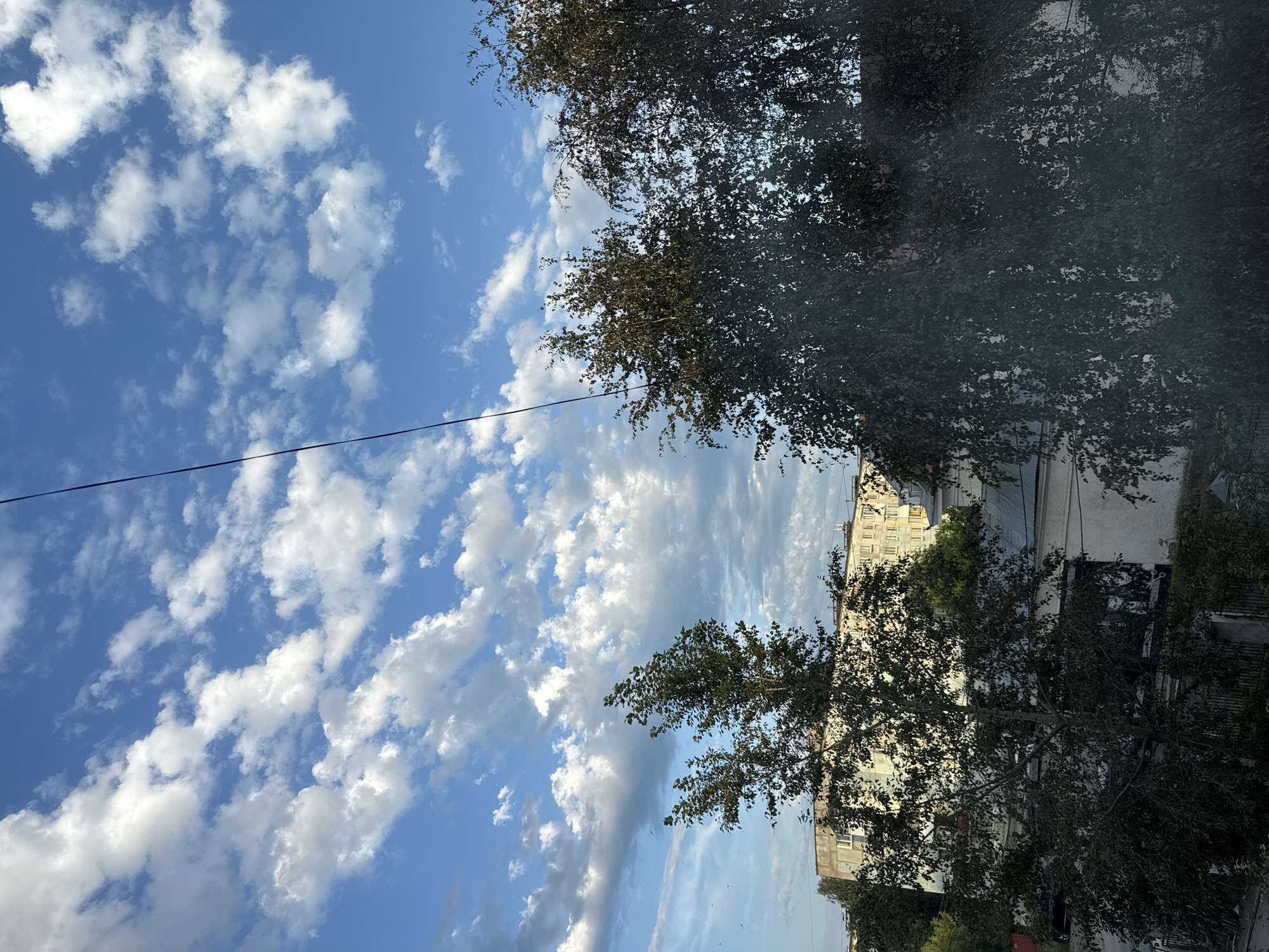 The image depicts a view from a window, looking upwards towards a bright blue sky filled with scattered white, puffy clouds. In the foreground, the dark silhouettes of trees with dense foliage obscure part of the view. Behind the trees, several multi-story apartment buildings with light-colored facades are visible. A thin black wire stretches diagonally across the upper portion of the image. The scene appears to be set in the city of Lysva, Russia, as indicated by the architecture and general urban landscape. There are no people or observable actions taking place.