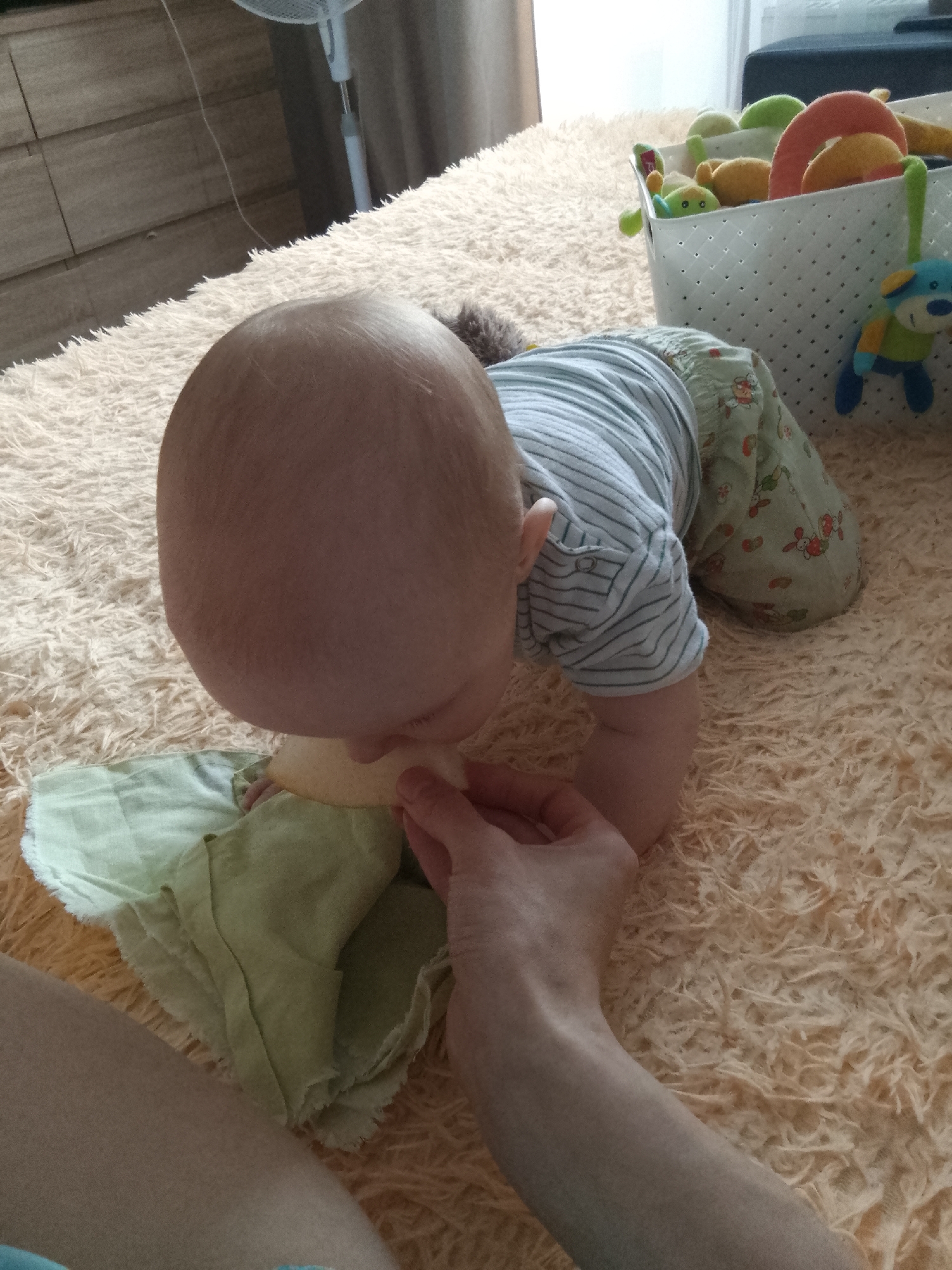 In Minsk, Belarus, a baby is on all fours on a peach-colored shag carpet. The baby is wearing a striped shirt and patterned pants. The baby's head is down, and it appears to be reaching for something on the carpet. A person's hand is visible in the foreground, near the baby's head. In the background, a white basket filled with toys, including a blue dog plush toy, is visible. A wooden dresser and a fan are also in the background. The scene appears to be indoors, possibly in a nursery or playroom.