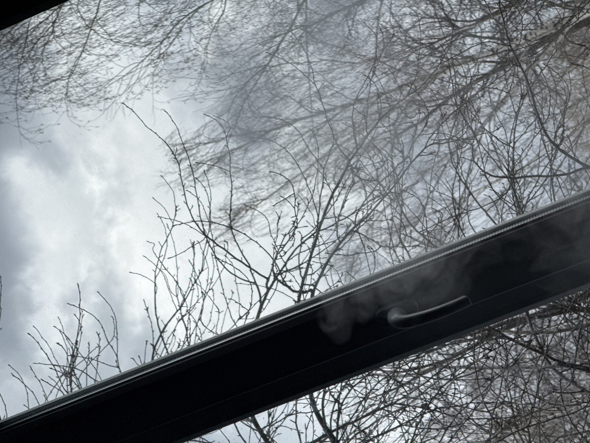 The image shows a view through a partially open window, likely in Chaikovsky, Russia, given the prompt. The window frame is dark, and the handle is visible. Outside the window, bare tree branches fill the scene against a cloudy, overcast sky. No people are visible. The environment suggests winter or early spring.