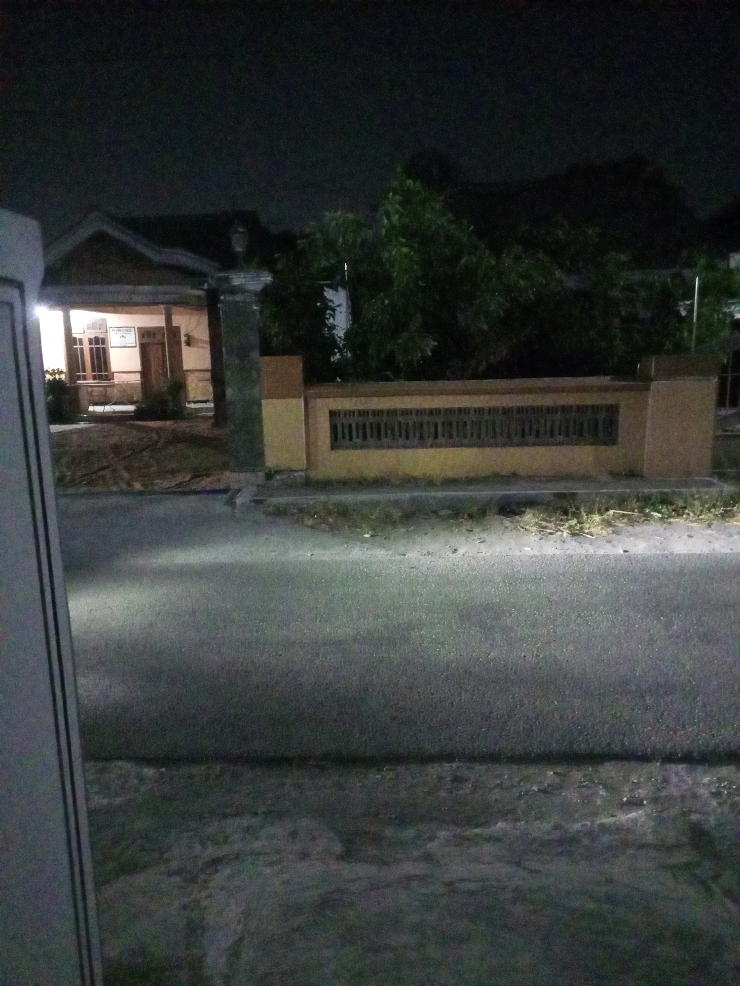 The image depicts a nighttime scene in front of a residential property in Ngasem, Indonesia. A house with illuminated windows and a visible sign is partially obscured by trees and a fence. The fence is made of stone and has a decorative barred section. A paved road runs in front of the property, with a concrete curb and some dry grass and debris along its edge. The overall lighting suggests it is dark outside, with artificial light emanating from the house. The scene appears to be a quiet residential street.