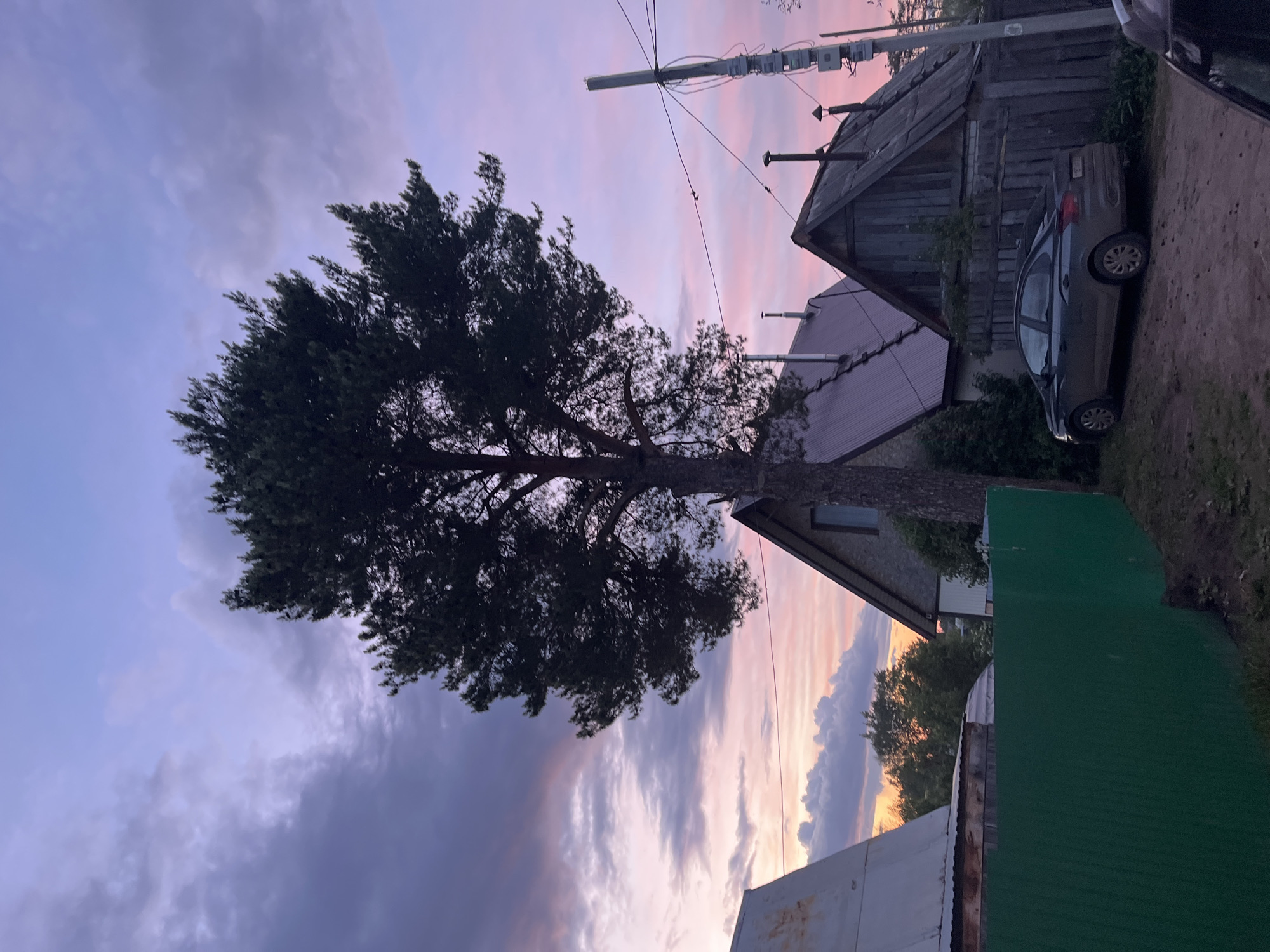 The image, taken in what appears to be a residential area in Chaikovsky, Russia, shows a large tree in the foreground against a backdrop of a colorful sunset sky. To the right of the tree, there's a wooden house with a car parked next to it. Utility poles with wires are also visible in the sky. The image is taken from a low angle, looking up towards the sky and the subjects. In the lower part of the frame, there are also roofs of other houses or structures. The sky displays hues of purple, pink, and orange, suggesting either sunrise or sunset.