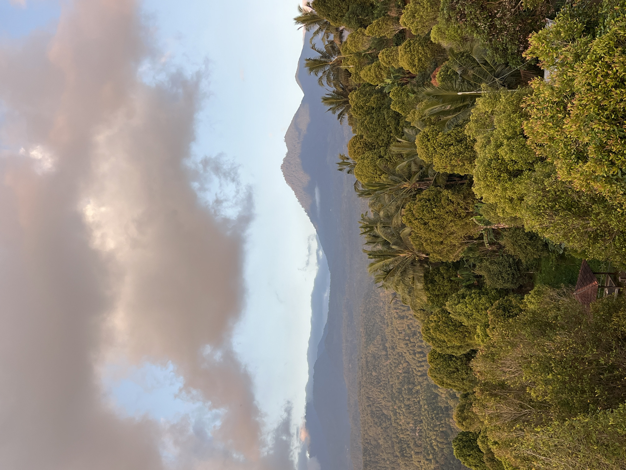 This is a landscape photograph taken in the city of Busungbiu, Indonesia, featuring a lush, hilly terrain under a cloudy sky. The foreground is dominated by dense, vibrant green foliage, with various types of trees and palm trees covering the rolling hills. A small, reddish-brown roofed structure, possibly a gazebo or shelter, is partially visible amidst the trees in the lower right portion of the image. In the mid-ground, the landscape transitions to a vast expanse of densely forested hills that fade into the distance. The background is characterized by a series of layered mountains, with the furthest peaks appearing hazy and silhouetted against the sky. The sky itself is a mixture of pale blue and large, soft clouds, with hints of pink and orange suggesting either sunrise or sunset. The lighting is soft and diffused, casting a warm glow on the vegetation. There are no people or animals visible in the scene. The overall impression is one of natural beauty and tranquility.