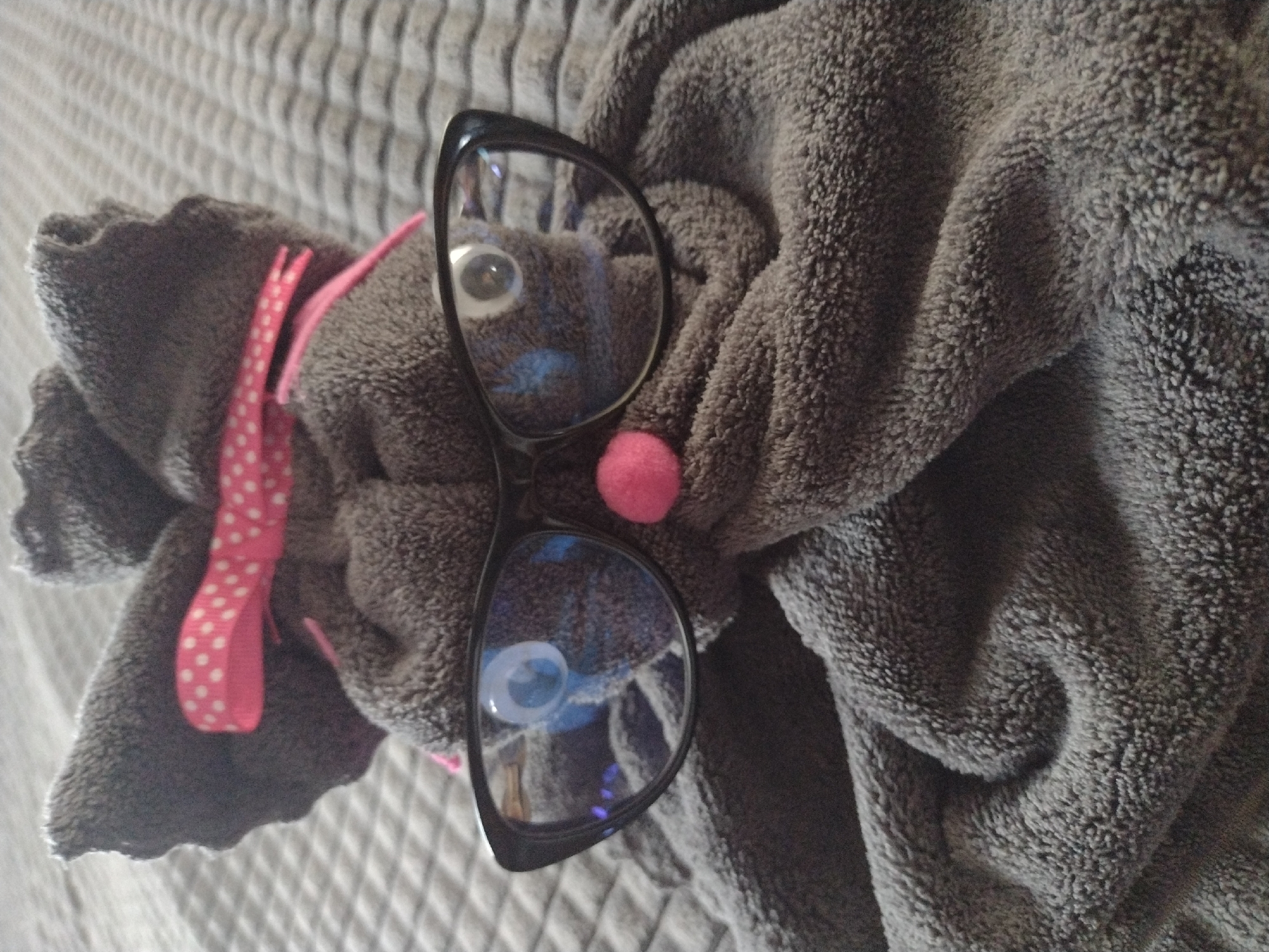 A gray towel arranged to resemble a toy animal is shown indoors on a gray background. The "animal" has googly eyes and a pink pom-pom for a nose, and a pink ribbon with white polka dots is tied to one side. A pair of black-rimmed glasses is positioned on the towel, obscuring parts of the "animal's" face. The scene's location is unknown and cannot be determined from the image. There is no indication in the image that this location is Burgas, Bulgaria.
