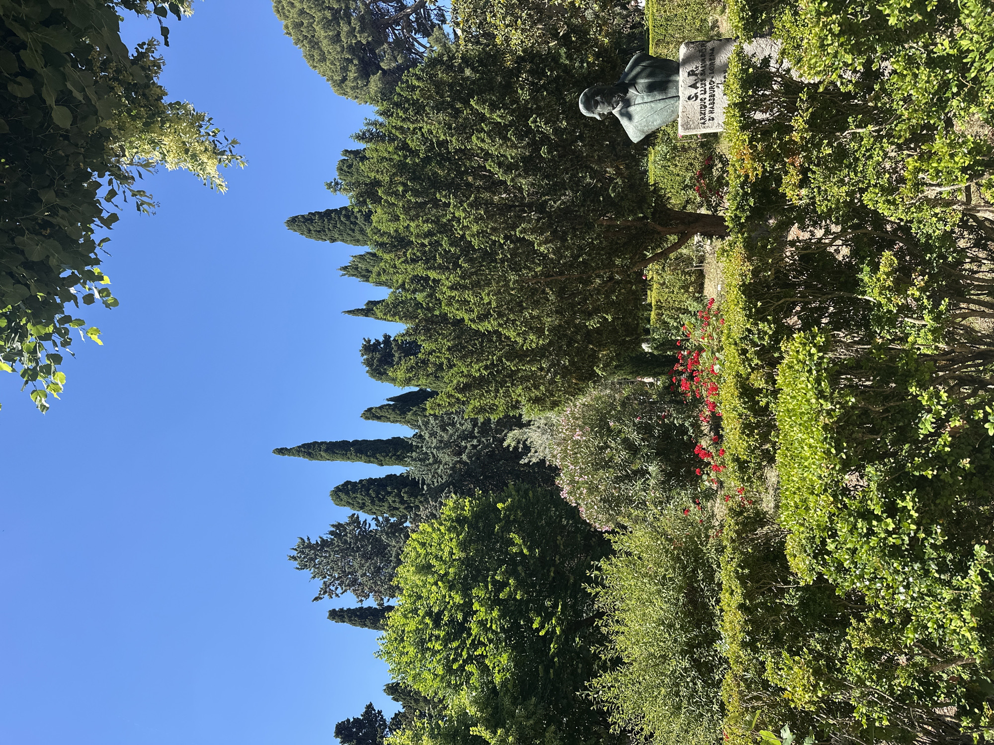 The image captures a park scene in Valldemossa, Spain. A line of tall, thin cypress trees runs along the left side of the frame, contrasting with the clear blue sky. In the foreground, there are various green trees and bushes, including a section with red flowers. To the right, a bust on a stone pedestal is visible amidst the greenery, with an inscription that includes the name "S.A.R. ARCHIDUKE LLUIS SALVADOR D'HABSBURGO-LORENA". The positioning of the trees and foliage suggests a landscaped garden or park setting.