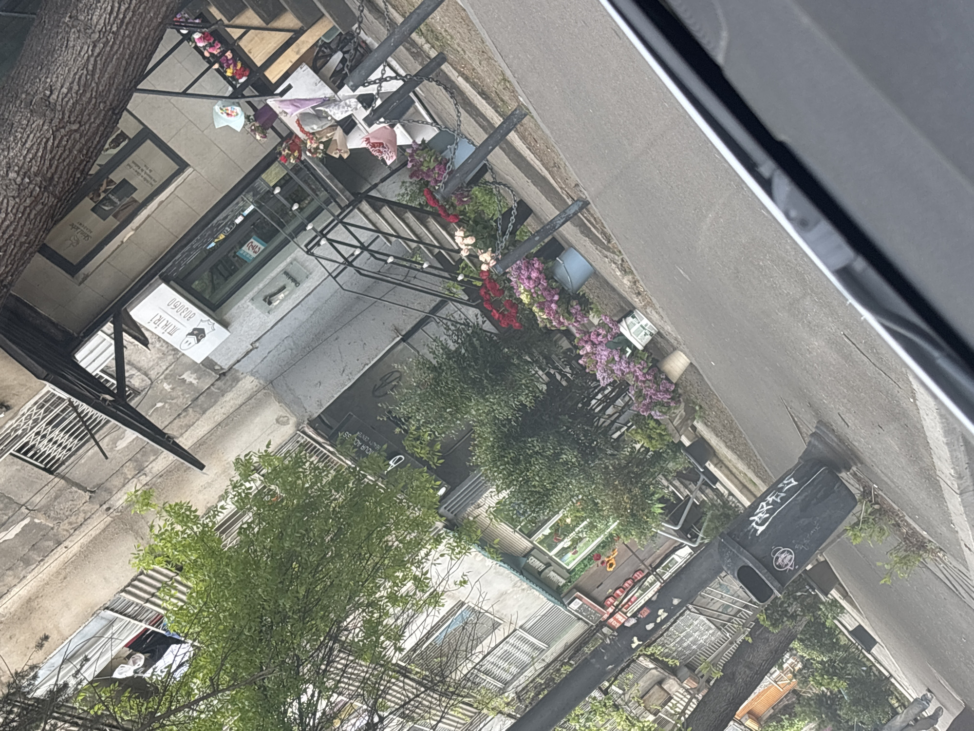 This media file captures a vibrant street scene in Tbilisi, Georgia, viewed from what appears to be inside a vehicle. The image is taken during the daytime, though the exact weather is not clear.
In the foreground, a prominent tree trunk with textured bark is visible on the left. The scene opens up to an urban street with buildings, shops, and extensive floral decorations. Along what appears to be the storefront of a building, there are multiple arrangements of fresh flowers, including bouquets wrapped in paper and various potted plants, predominantly red and purple hues, displayed on tiered racks and hanging baskets. These floral elements suggest a florist shop or a cafe with a strong emphasis on outdoor decor.
Several signs are visible on the buildings. One sign clearly reads "Sheladoo Academy" with additional Georgian text below it. Further down, a white rectangular sign displays Georgian text that translates to "Products | Watch | Repair," accompanied by two small cartoon faces, indicating a business offering watch-related services. Inside a shop window, a "CLOSED" sign is visible, written in Georgian ("დაკეტილია").
On the right side of the image, a black pole or post is covered with white graffiti, notably including "თბილისი" (Tbilisi) in Georgian script, along with a small logo. In the background, other residential or commercial buildings can be seen with windows and metal grates, along with more trees, contributing to the urban setting. No specific human activity is clearly discernible, but the decorated street front creates a lively atmosphere.