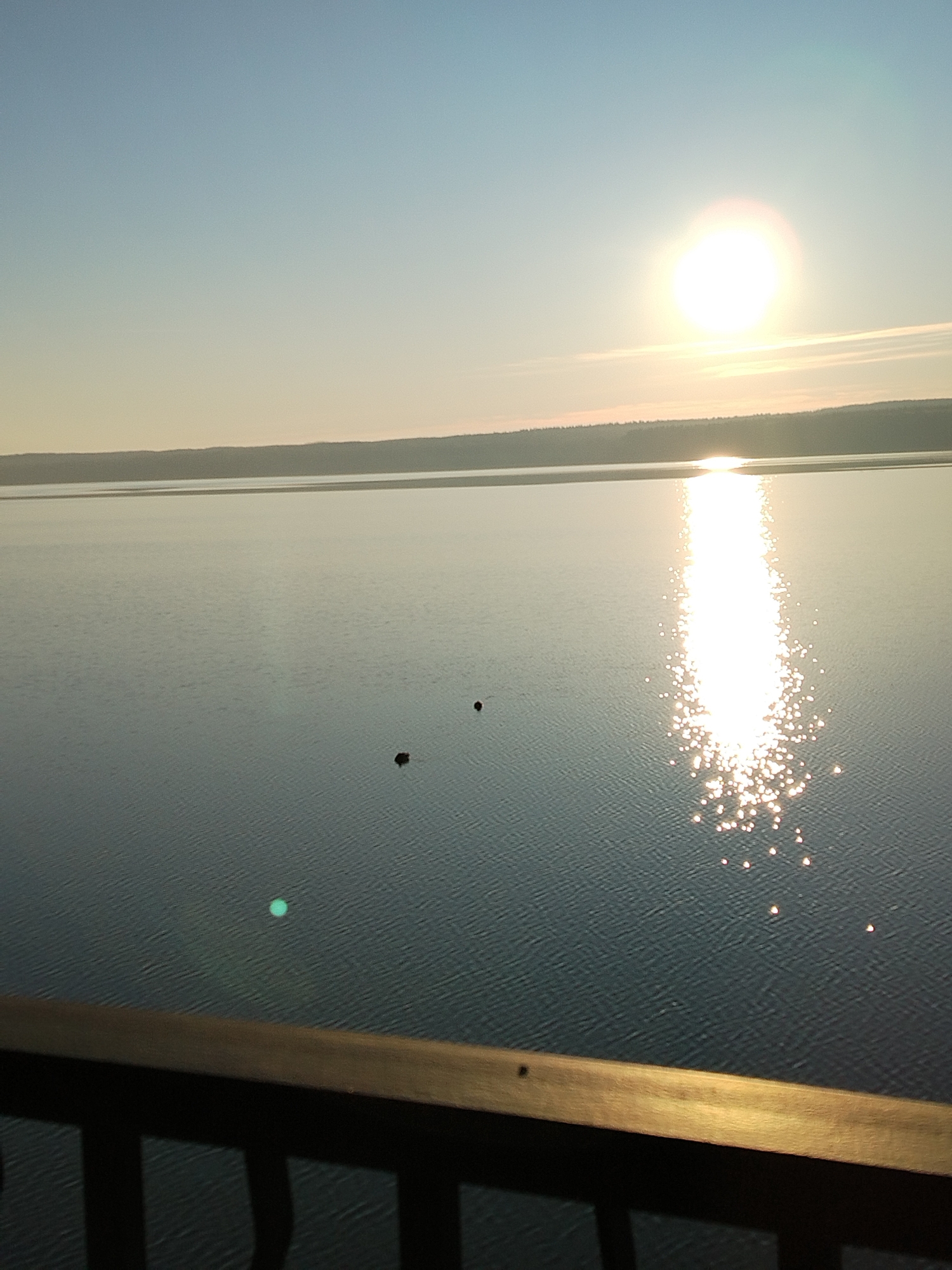The image presents a tranquil waterscape at what appears to be either sunrise or sunset, viewed from an elevated vantage point. A brilliant, circular sun, emitting a strong lens flare, is prominently positioned in the upper right quadrant of the sky, casting a dazzling, shimmering column of light across the calm water towards the foreground. The clear sky exhibits a gentle gradient, transitioning from a light blue overhead to a softer pale yellow-orange near the horizon.
In the distance, a low, dark band of land, likely a forested shoreline or distant hills, stretches across the horizon, separating the expansive body of water from the sky. The water's surface is relatively calm, displaying subtle ripples that catch and scatter the sunlight, creating numerous sparkling points within the sun's reflection.
Mid-ground on the water, to the left of the sun's reflection, two distinct small, dark, rounded objects are visible, possibly buoys or other floating markers.
In the immediate foreground, a dark wooden railing, possibly from a balcony, deck, or pier, extends horizontally across the bottom of the frame, partially obscuring the water and defining the observer's position. The top surface of the railing shows a lighter wood tone. A small, bright green circular artifact, likely a lens flare, is present on the water surface in the lower-left section.
The scene evokes feelings of peace and natural beauty, with no discernible human activity other than the act of observation. Given the location context of Chaikovsky, Russia, this vast body of water could be the Kama River or the Votkinsk Reservoir. The clear sky and calm water suggest pleasant weather conditions. No text is visible in the image.