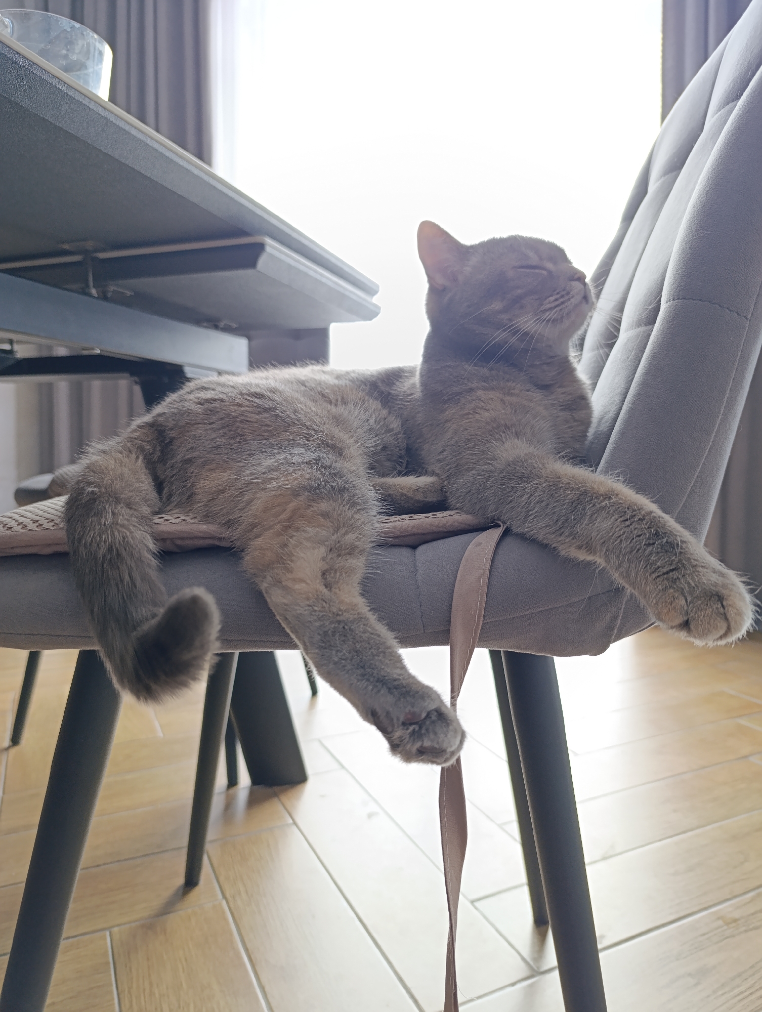 A gray cat is relaxing on a gray chair with a beige cushion. The cat is lying on its side with its eyes closed and one paw dangling. The chair is positioned near a table and a window. The room has a wooden floor. The location is Chaikovsky, Russia.