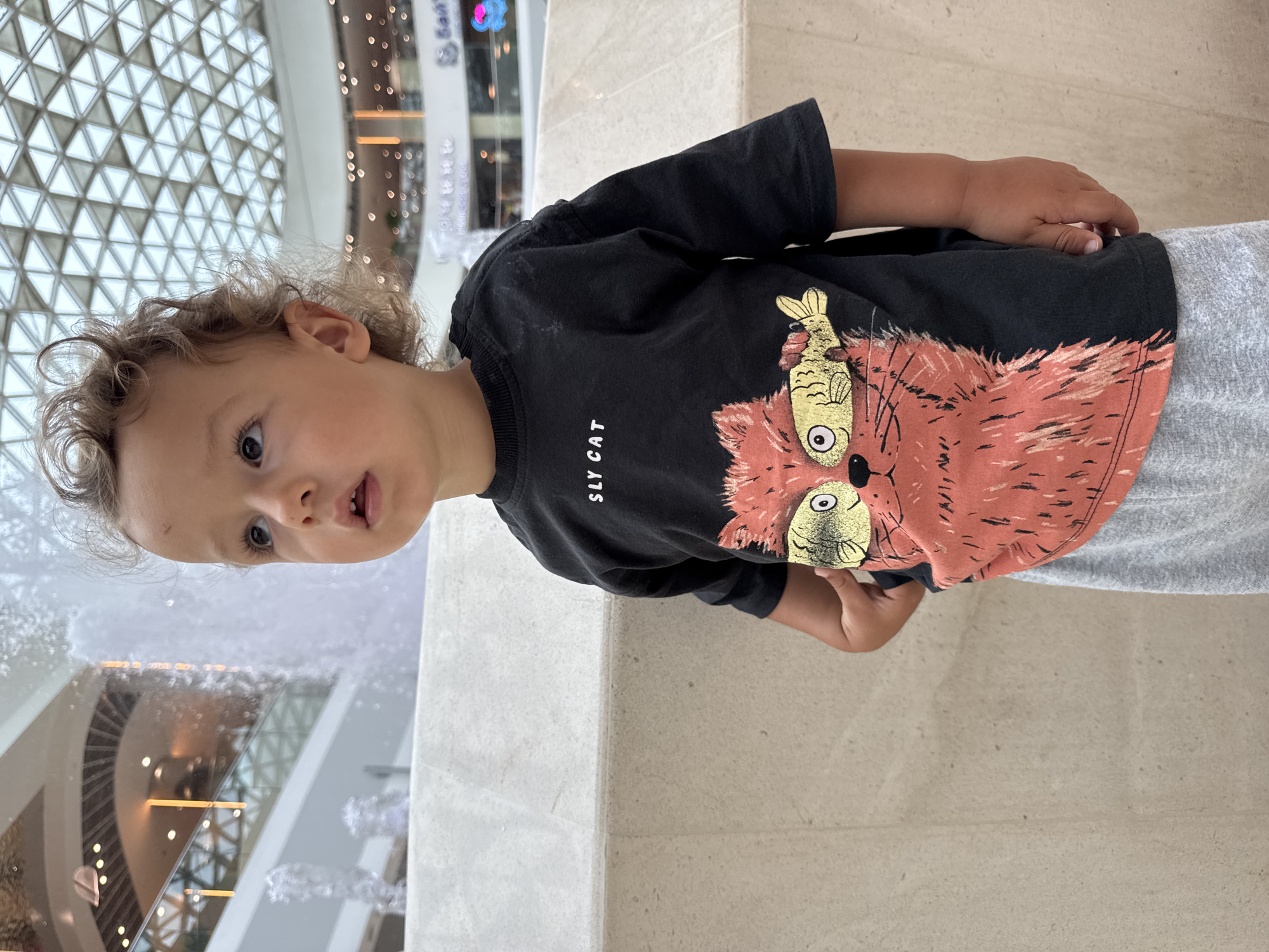 A young child with curly blonde hair stands in an indoor shopping mall, looking to the right. The child is wearing a black t-shirt with a graphic of a cat holding a fish and the words "SLY CAT" printed above it. The child is also wearing grey sweatpants. In the background, there is a fountain with water splashing, a railing, and the ceiling of the mall, which is a geodesic dome structure. The overall lighting is bright and diffused, typical of an indoor shopping center. The child is positioned in the foreground, with the mall environment providing a blurred backdrop. The location is identified as the Sochi, Russia.