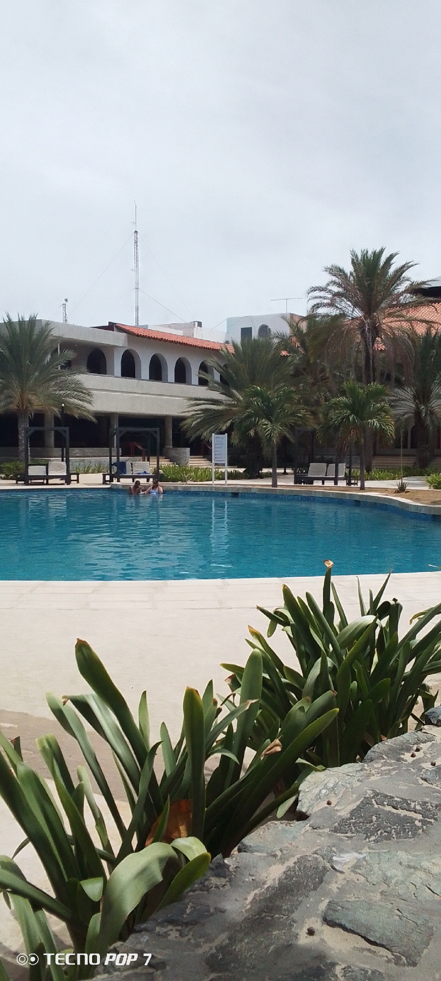 The image depicts a swimming pool area in Pedro González, Venezuela. The pool is a clear, inviting blue, surrounded by a light-colored concrete deck. Several palm trees are interspersed around the pool area, offering shade. In the background, a building with a notable architectural feature of arched openings is visible. People appear to be swimming in the pool. In the foreground, there are green plants near a rock formation. A tall communication tower can be seen extending into the overcast sky. The image was taken with a Tecno Pop 7 phone.