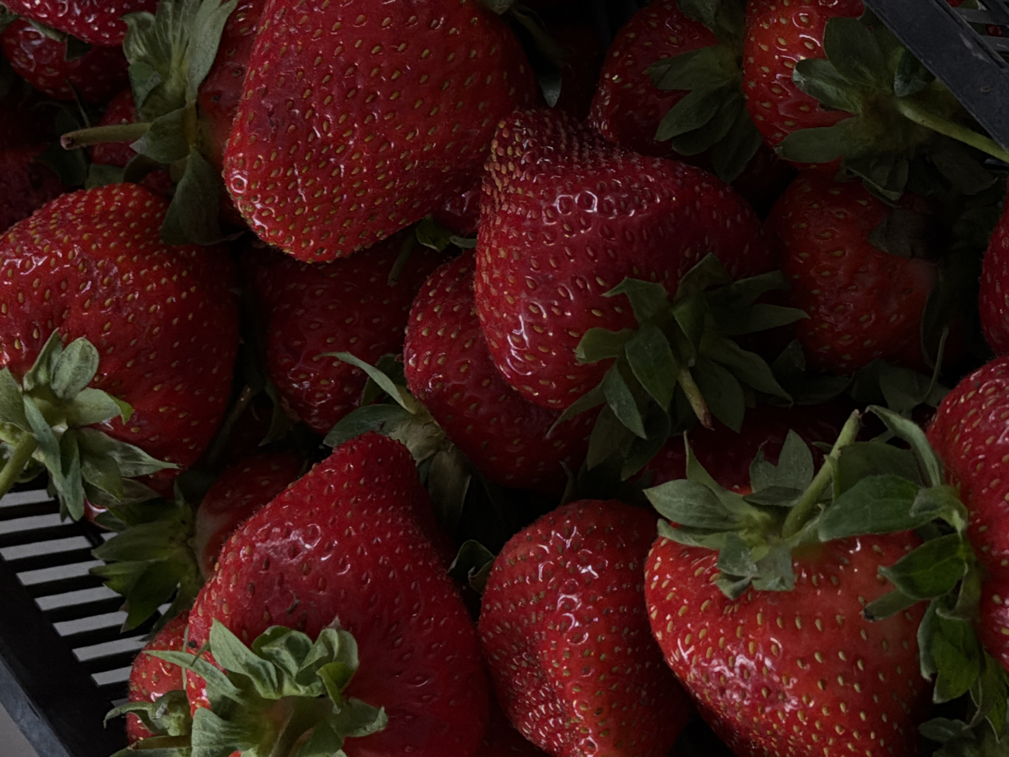 A close-up, eye-level shot shows a heap of fresh, ripe strawberries with green stems and leaves. The strawberries vary in size and shape, with their red surfaces dotted with tiny seeds. The strawberries appear to be in a black container or basket with a linear pattern of black and white. There is no indication of the city of Kazan, Russia, or any people or actions in the image.