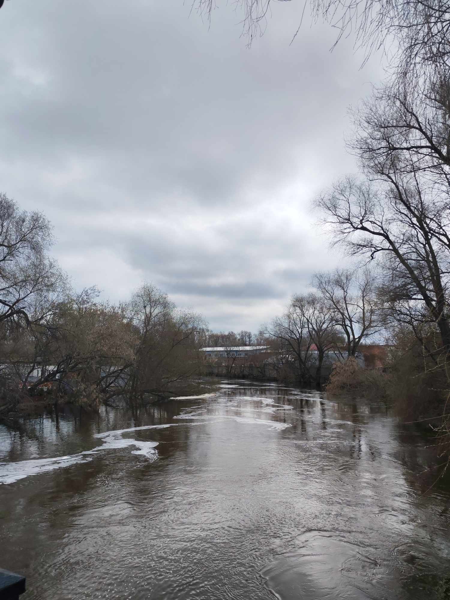 This image captures a river landscape under an overcast sky in Izhevsk, Russia, likely during a colder season such as late autumn, winter, or early spring, given the bare deciduous trees.
The central subject is a wide river, which flows from the distant background towards the foreground. Its water appears murky brown or grey, reflecting the dull sky. Prominent white foam or scum floats on the water's surface, particularly along the left bank and in swirling patterns, indicating currents.
Both sides of the river are densely lined with trees, almost entirely devoid of leaves, their dark, intricate branches reaching upwards and outwards. Some trees on the left bank appear to be leaning heavily over the water or partially submerged. In the distance, behind the skeletal trees on both banks, several buildings are faintly visible. On the left, a long, light-colored building with a white roof can be seen, while on the right, structures with reddish-brown roofs are discernible.
The sky is completely covered by a uniform layer of light grey clouds, suggesting an overcast day with diffused light. There are no people visible in the scene. The photograph seems to be taken from an elevated vantage point, possibly a bridge or embankment, with a dark, indistinct object (perhaps a railing) visible in the bottom left corner. The overall atmosphere is quiet and somewhat somber, reflecting the cool, grey conditions. No visible text is present in the image.