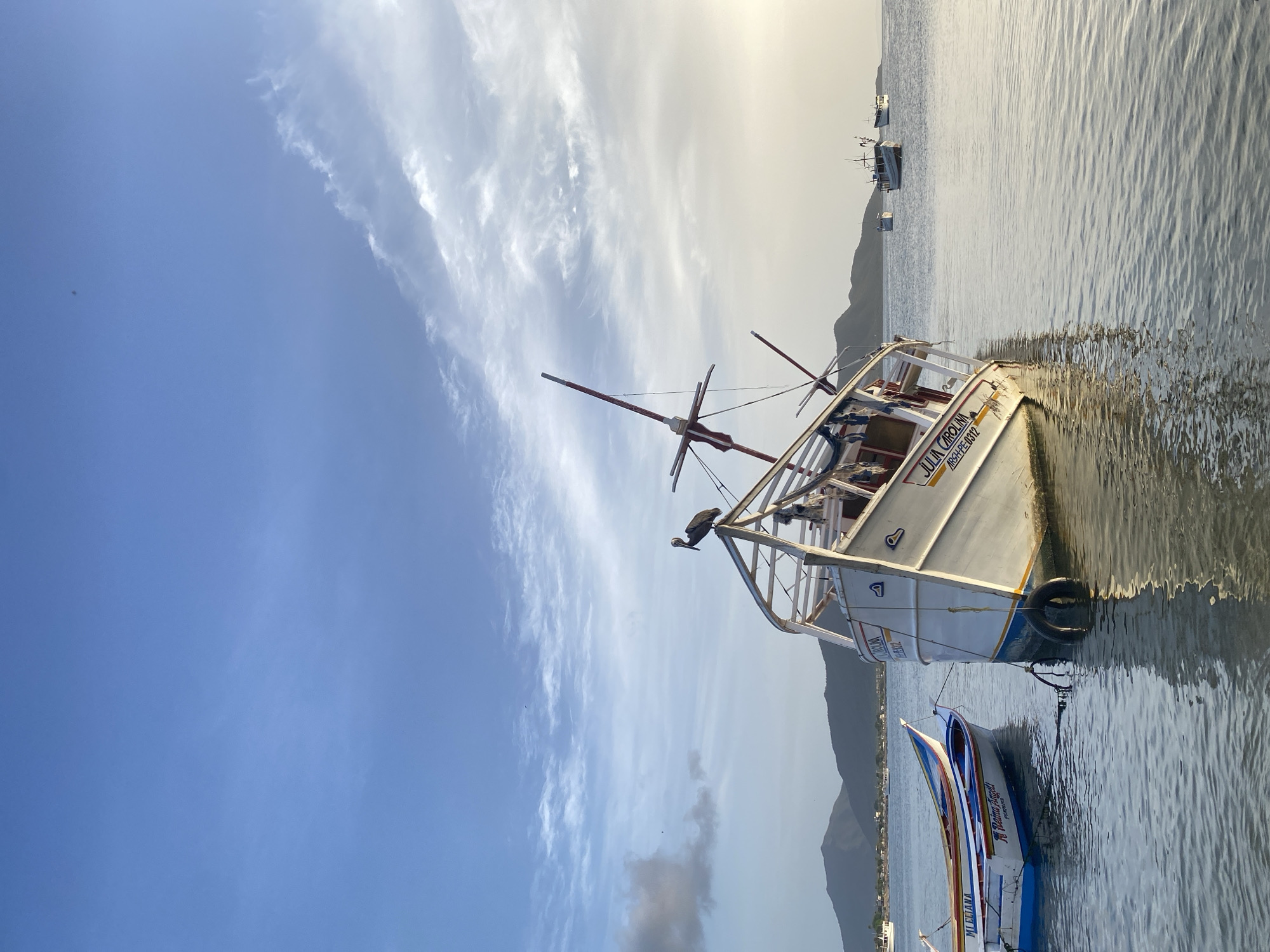 In Juan Griego, Venezuela, a tranquil scene unfolds at dawn or dusk, with a large, weathered white fishing boat listing to the left, anchored in calm, rippling water. A pelican perches atop the boat's structure. Two smaller, colorful fishing boats are tethered to the larger vessel, also bobbing gently in the water. In the background, a chain of lush green hills forms a scenic backdrop, with several other fishing boats visible on the horizon. The sky above is a canvas of soft blue, adorned with wispy white clouds, illuminated by the soft glow of the rising or setting sun. The overall atmosphere is one of peaceful serenity, a typical maritime vista of the coastal town.