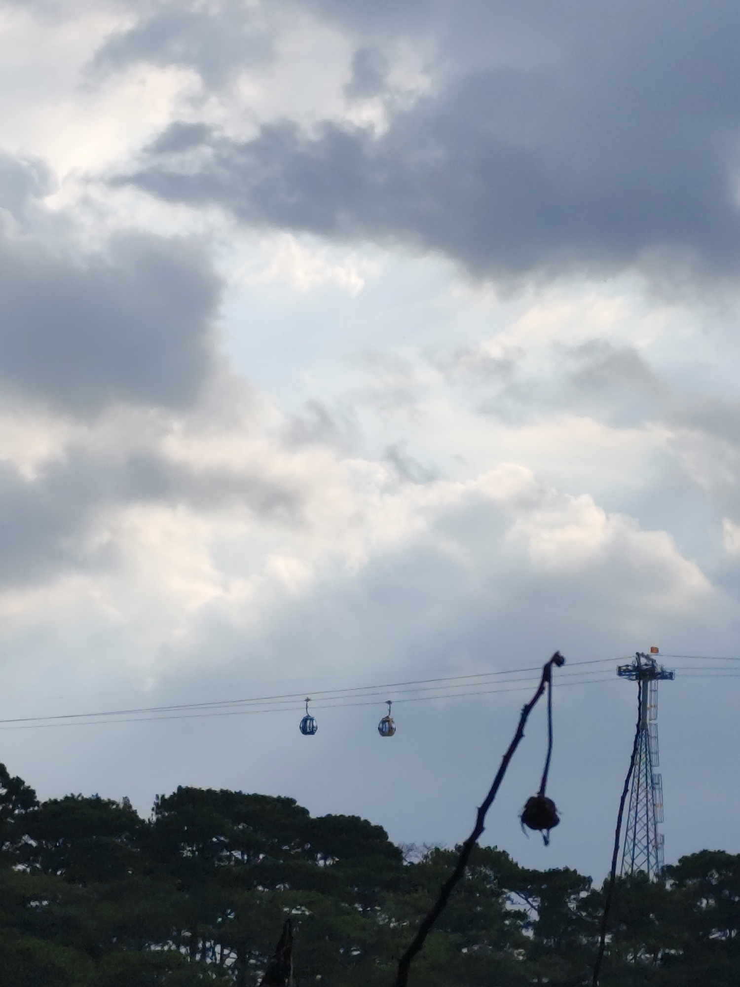 The photograph shows a cloudy sky over Da Lat, Vietnam. In the foreground are silhouetted trees. A cable car system with two visible cars stretches across the image. A support tower stands on the right side of the frame, with a small flag on top. An out-of-focus branch with a dried seed pod hangs in the lower right corner.