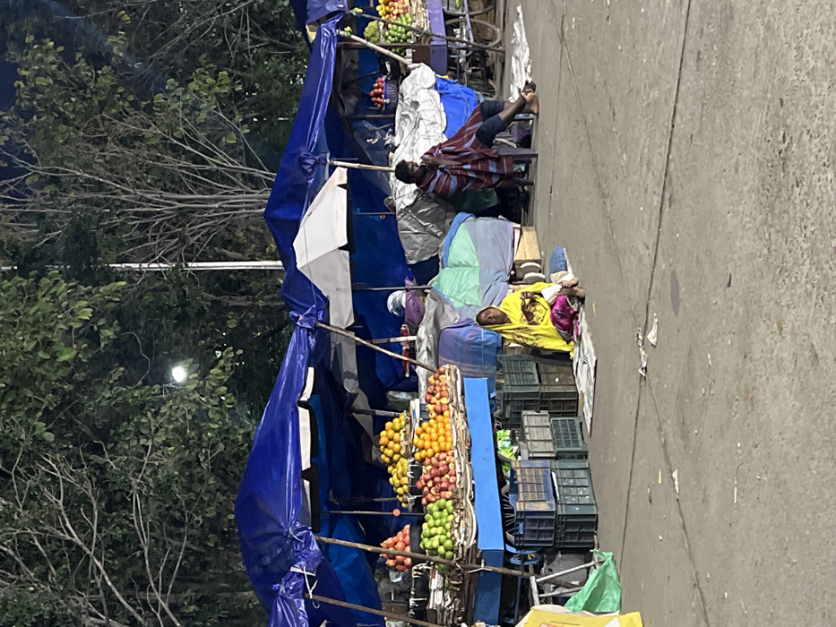 The image captures an outdoor market scene, likely in the evening or early morning, set in Palani, India. The main subjects are several makeshift fruit stalls and two individuals.
The stalls are constructed with blue tarpaulins draped over frames, with some white coverings visible underneath. They are laden with a variety of fruits, including piles of red apples, green apples, and bright orange fruits, possibly oranges or mandarins. Below the fruit displays, stacks of dark-colored plastic crates are visible, commonly used for produce.
Two people are present near the stalls, both appearing to be resting or waiting. On the right, a man with a beard is seated on a low stool, leaning against the stall structure. He is wearing a striped shirt in shades of red, brown, and white, and dark pants, with his bare feet visible. Further to the right and slightly in front, another individual, likely a woman, is sitting on the concrete ground. She is dressed in a yellow garment and has a pink cloth draped over her.
The setting includes a paved concrete or asphalt ground, which shows some scattered debris. On the left side of the image, lush green trees and bare branches are visible, suggesting a natural area or park adjacent to the market. A bright light source, possibly a street lamp, glows among the trees in the background, contributing to the dim ambient lighting of the scene.
No discernible text is visible in the image. The overall impression is one of a quiet street market during off-peak hours, possibly after closing or before opening, with vendors taking a break.