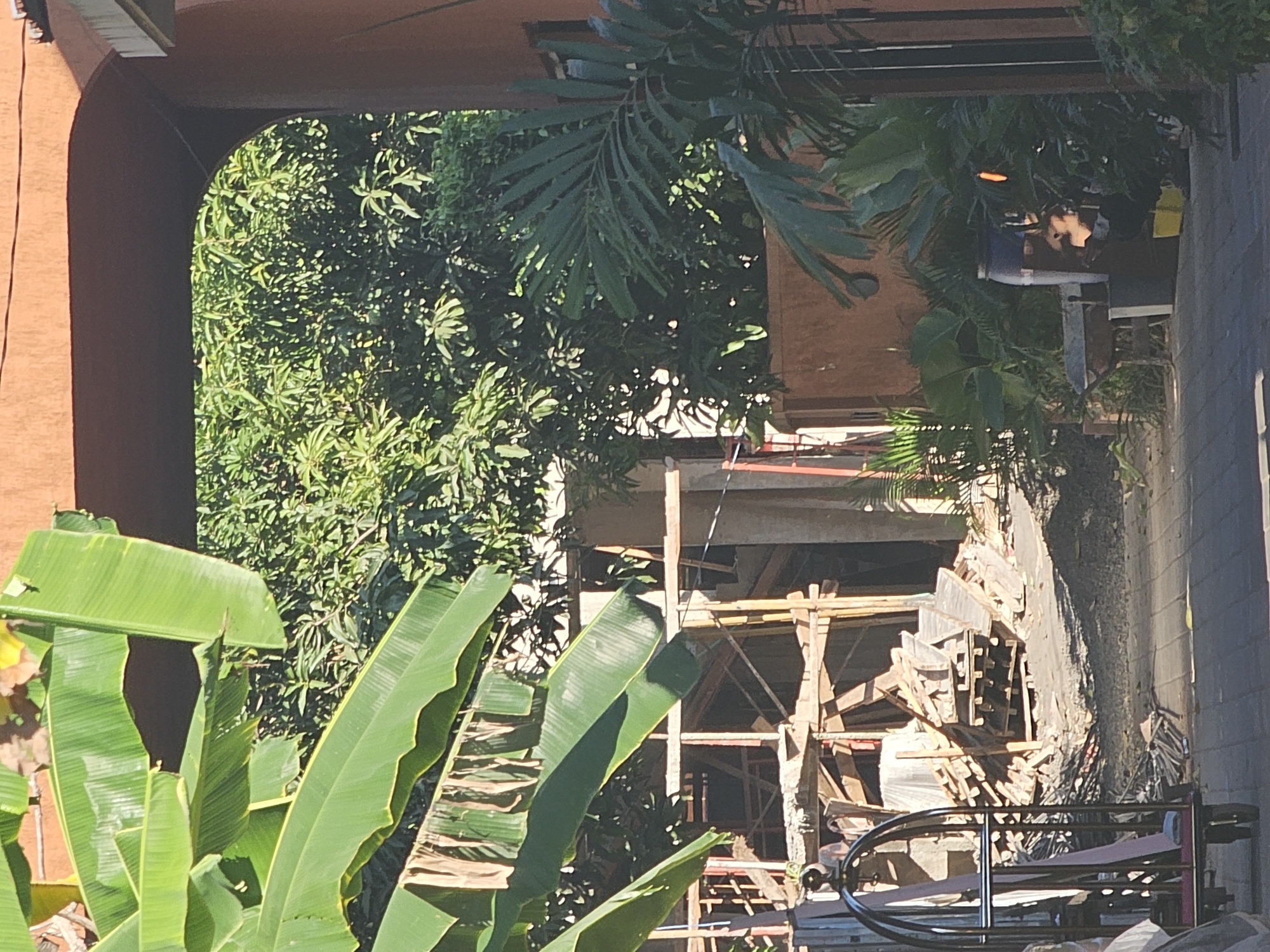 The image depicts a view through an arched passageway, revealing a scene of construction. Lush green banana leaves dominate the foreground and upper left of the frame, framing the view into the construction site. In the background, dense foliage and trees are visible. The construction area itself is cluttered with wooden scaffolding, debris, and building materials, including piles of planks. On the left side of the passageway, a silver luggage cart is positioned. To the right, an orange wall encloses the property, with various tropical plants and an orange conical object, possibly a garden ornament or light fixture, visible amongst them. A large blue barrel and a wheelbarrow are also present in the right portion of the scene. The ground is paved with interlocking bricks. There are no people visible in the image. The scene suggests an ongoing renovation or building project in a tropical setting.