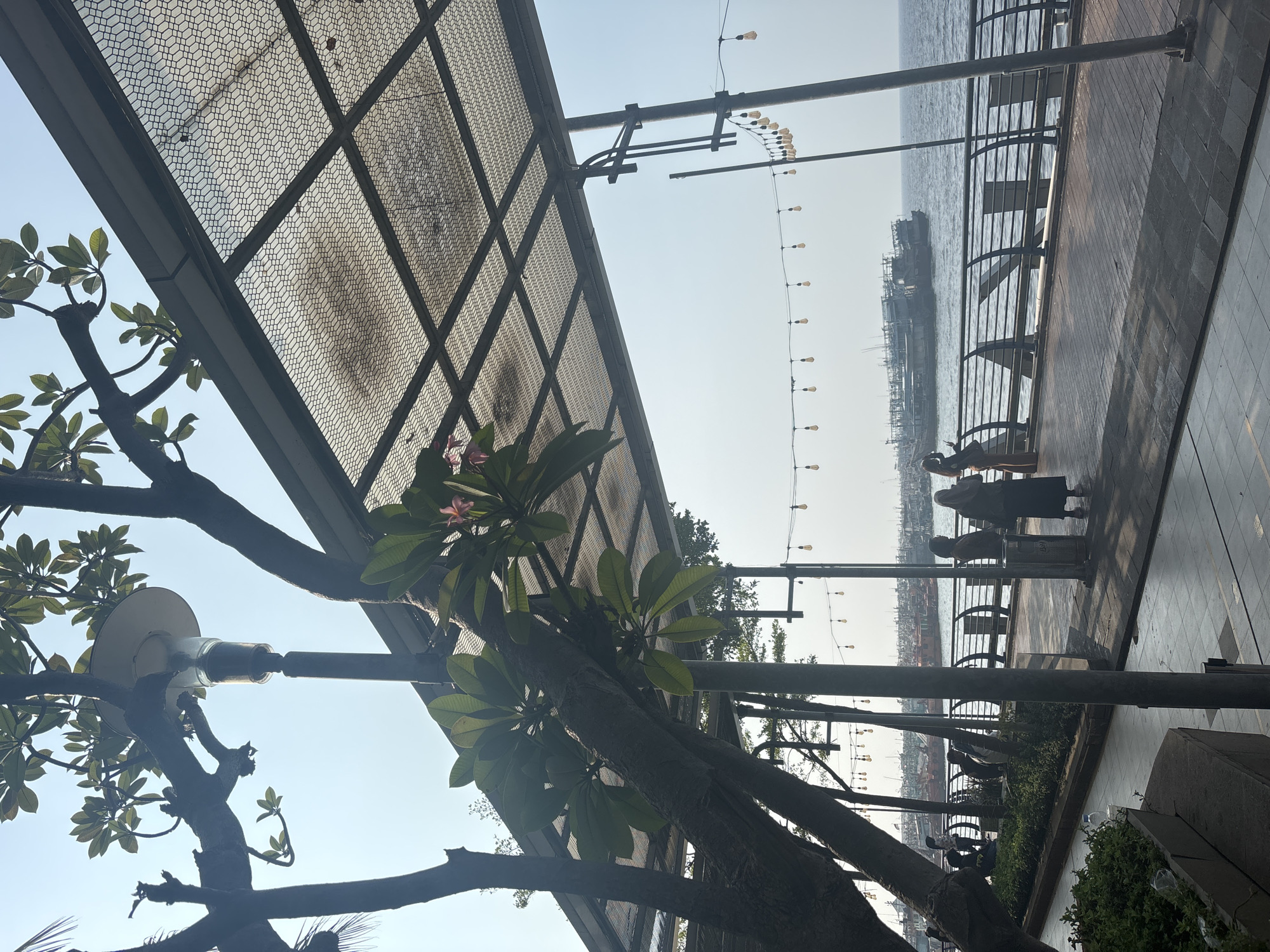 The image shows a waterfront promenade in North Jakarta, Indonesia, likely near the Sunda Kelapa port. In the foreground, a large tree with green leaves leans over the promenade, with a light fixture attached to its trunk. A mesh-covered canopy extends over part of the walkway. Several people are visible on the promenade, some standing and talking, while others are seated. A railing separates the promenade from the water. In the background, numerous boats are docked in the water. The sky is clear and bright, suggesting a daytime scene. String lights are visible, both hanging from poles and under the canopy, indicating the area is likely used in the evening as well.