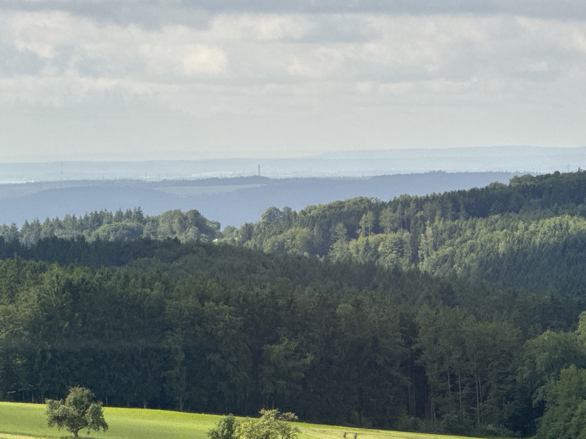 The image depicts a landscape with rolling hills covered in dense green forests. In the foreground, a vibrant green field is partially visible with a few scattered trees. The middle ground is dominated by layers of dark green trees, creating a textured, undulating appearance. In the background, several layers of distant hills fade into a hazy blue, suggesting a vast expanse. The sky above is overcast with soft, diffused light, with light gray clouds dominating the upper portion of the frame. A faint, thin tower-like structure is visible in the far distance, silhouetted against the hazy horizon. The scene appears to be a natural, undeveloped area, likely a rural or forested region. The image does not contain any people, specific buildings, or urban elements. The overall impression is one of a serene, natural landscape under a muted sky.