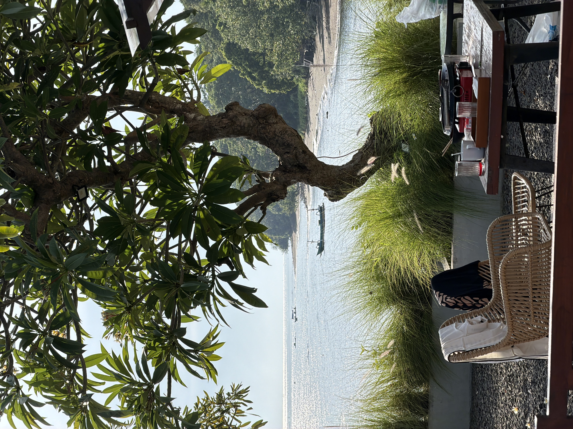 The original image depicts a tranquil scene at Pasir Putih, Indonesia, with a focus on a picturesque beachfront view framed by lush foliage. In the foreground, two wicker chairs are placed on a gravel surface, one draped with a white garment and the other with a patterned black and beige cloth. A wooden table nearby holds various items, including glasses, a mug, a portable stove with cookware, and a wooden tray. Beyond the chairs and table, tall green grass and a gnarled tree with dense green leaves create a natural barrier.
The middle ground showcases a serene beach with gentle waves lapping the shore, and several boats are visible in the distance. The water glitters under the bright sunlight, reflecting the clear sky. In the background, a dense green forest lines the coastline, suggesting a natural, undeveloped environment. The overall impression is one of a peaceful, tropical setting, possibly a cafe or restaurant with an outdoor seating area overlooking the sea.