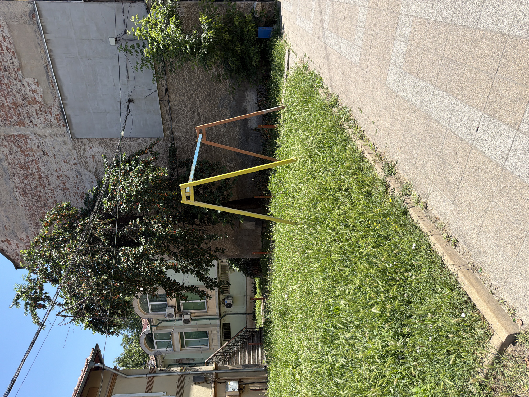 A small, overgrown urban courtyard is depicted in Pazardzhik, Bulgaria. The scene features a bright yellow and orange A-frame swing set, likely for children, situated in a patch of lush, untamed grass. To the left, a building with an external staircase and arched windows is visible. Behind the swing set, a large tree with visible fruit is present, with power lines crisscrossing overhead. A rough, textured wall forms the backdrop, with a section of lighter grey plaster overlaying exposed brick. Further to the right, a small green bush and a blue trash bin are situated near the wall. A paved walkway with a checkered pattern of light and dark squares runs along the right side of the courtyard, bordered by a concrete curb. The sky above is a clear, bright blue.