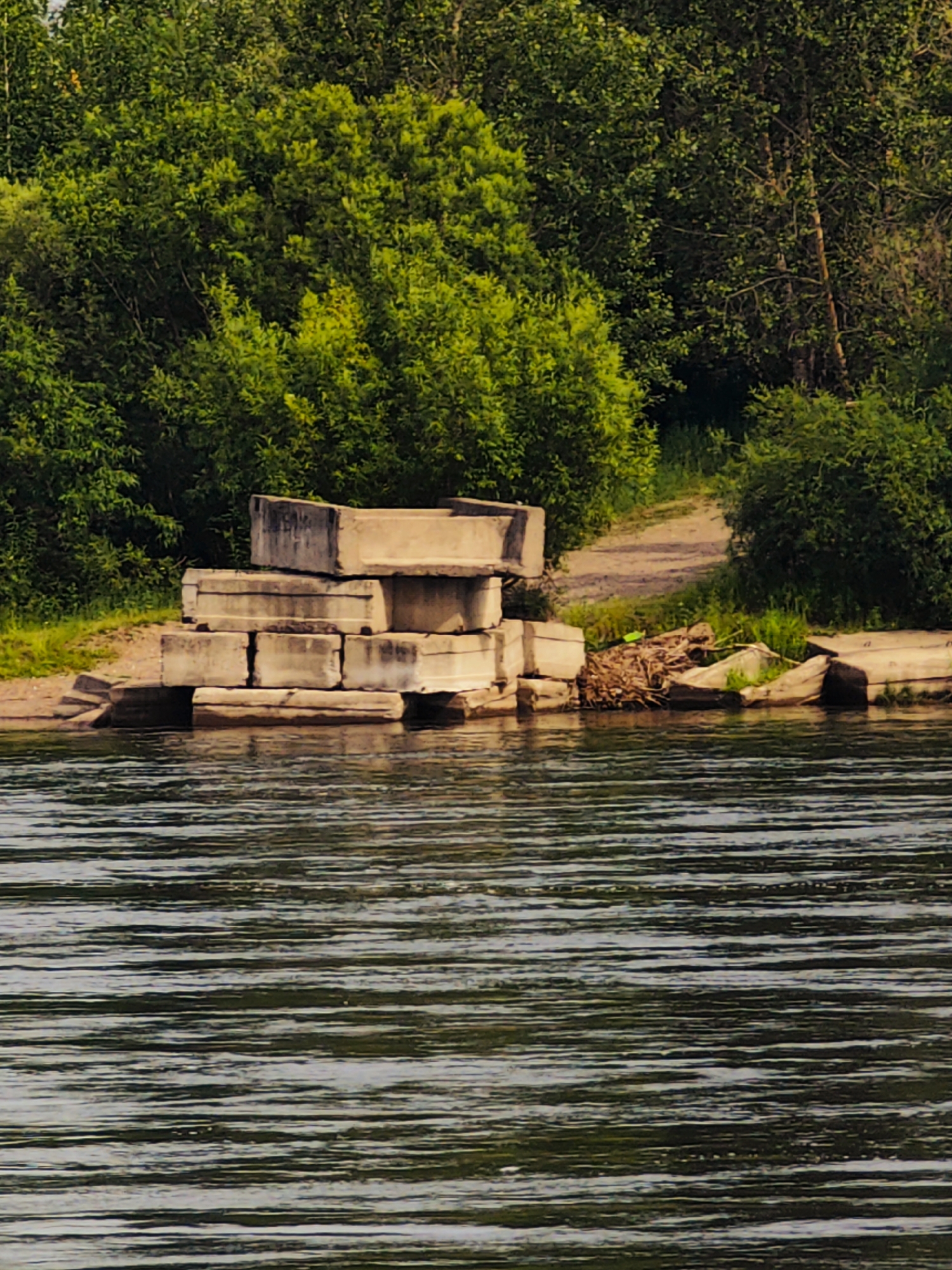 The image depicts a section of the shore of the Krasnoyarskoye Reservoir in Sosnovoborsk, Russia. In the foreground, the rippling surface of the water is visible. Along the waterline, a pile of large, rectangular concrete blocks are stacked, appearing to form a makeshift embankment or foundation. Some of these blocks are partially submerged. Behind the concrete structures, a sandy path leads upwards into a dense area of green trees and foliage. The vegetation appears lush and healthy, with sunlight filtering through the leaves. The scene is tranquil and appears to be a natural setting within or on the outskirts of the city. There are no people or animals visible in the image.