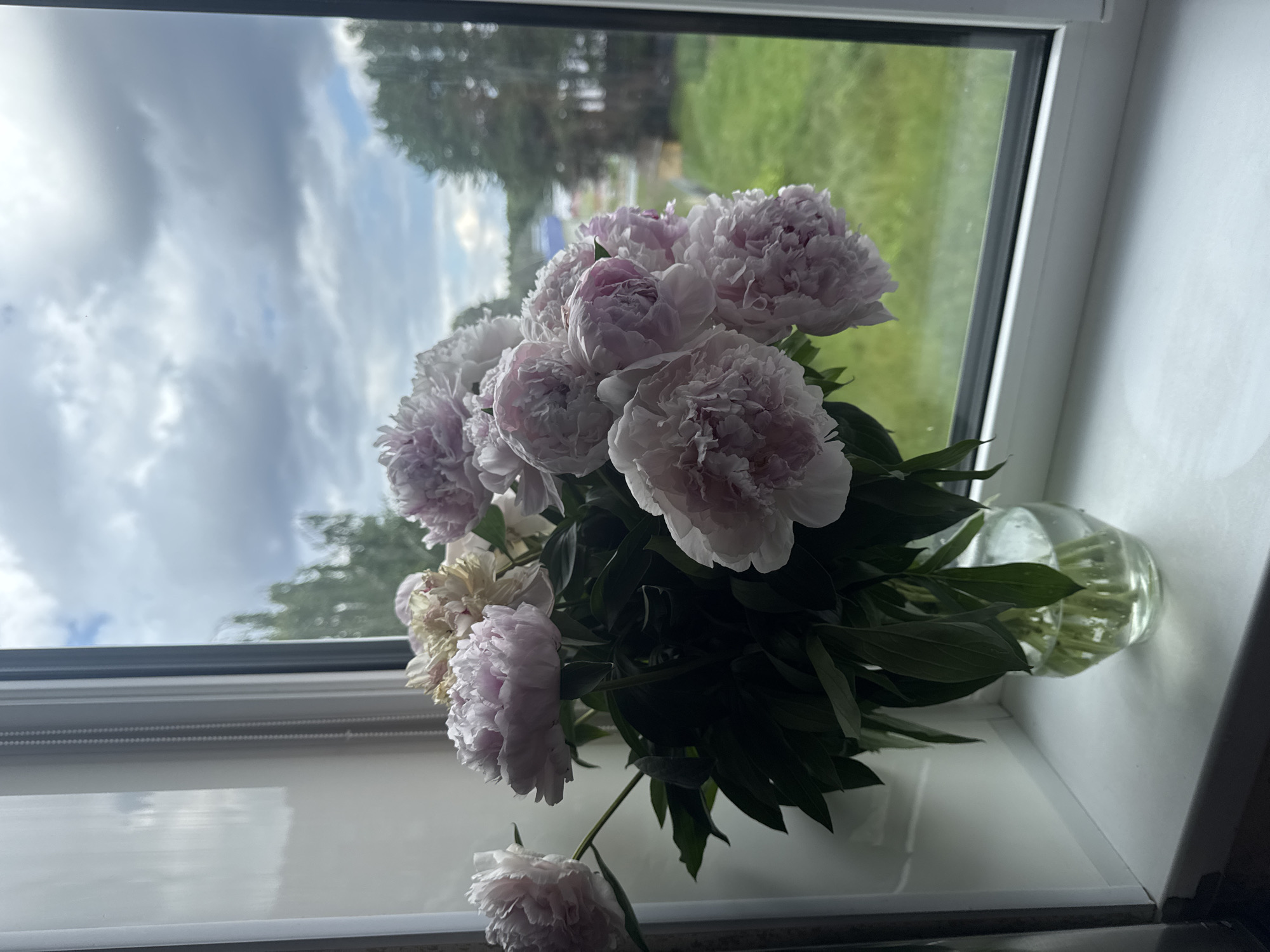 A bouquet of pink peonies sits in a clear glass vase on a white windowsill. Outside the window, a cloudy sky looms over a green landscape with trees. The scene appears to be in a residential setting, possibly an apartment or house, in the city of Chaikovsky, Russia, given the context provided. The lighting is natural, coming from the window, creating soft shadows. There are no people visible in the image. The focus is on the flowers and the view beyond.