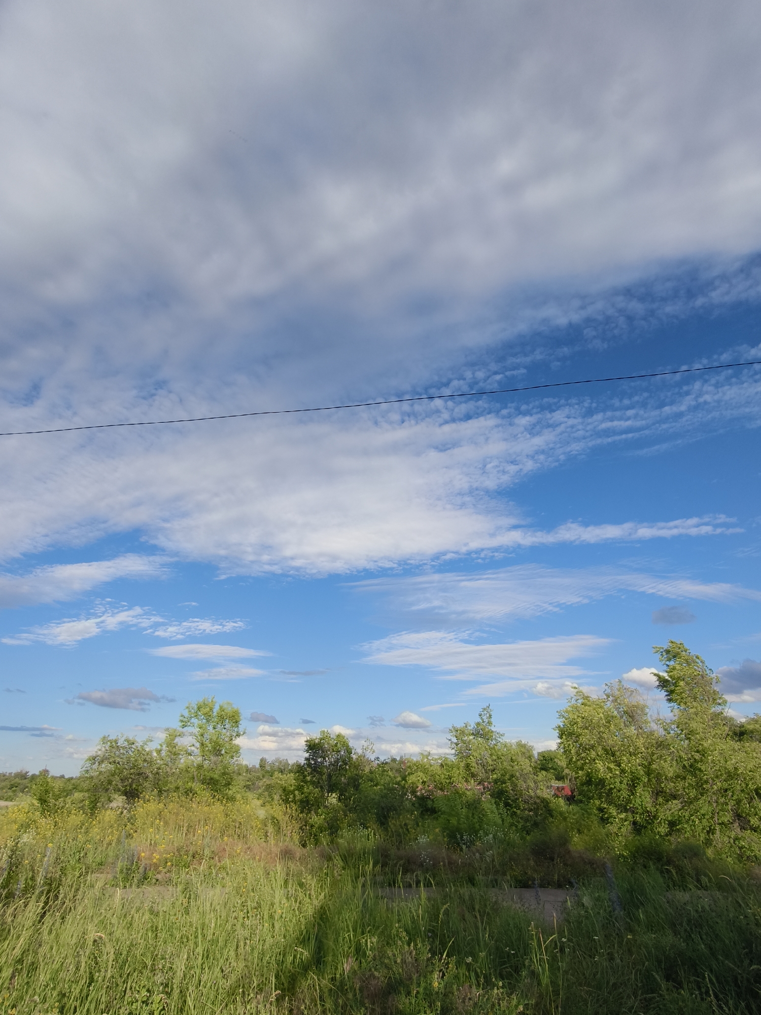 The image depicts a wide, natural landscape under a partly cloudy blue sky, likely captured in Shyroka Dacha, Ukraine. In the foreground, tall green grass and various wildflowers, including yellow ones, create a dense meadow. Beyond the meadow, a line of trees and bushes forms a green horizon. Some of the trees appear to be swaying or bent, suggesting wind activity. A thin, dark wire stretches horizontally across the upper portion of the frame. The sky is a vibrant blue, with scattered white and grey clouds, some elongated and wispy, others more rounded. The overall impression is one of an open, rural environment during daylight hours. There are no people or animals visible in the scene.