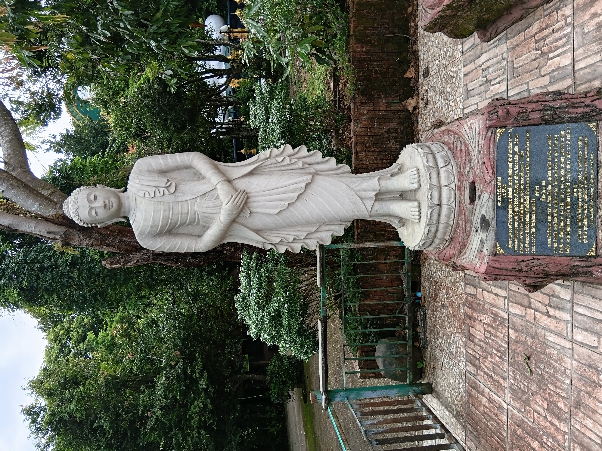 This is a full, eye-level, outdoor shot of a light-colored, standing Buddha statue in Ban Ruammit, Thailand. The statue is approximately life-sized and is situated on a circular, tiered pedestal. The Buddha is depicted with closed eyes, hands clasped in front, and draped in flowing robes. It is placed on a carved, reddish-brown base that resembles a tree stump. A plaque with Thai script is affixed to the front of the base. The statue is positioned on a paved area with alternating light and dark rectangular tiles. Behind the statue, a large tree with a rough, gray trunk dominates the background, with dense green foliage forming a backdrop. To the left of the statue, a metal railing with green paint and vertical wooden slats separates the paved area from a lower ground level. A large, dark rock rests behind the railing. The environment is lush and green, with various trees and bushes surrounding the statue. The lighting suggests an overcast day.
