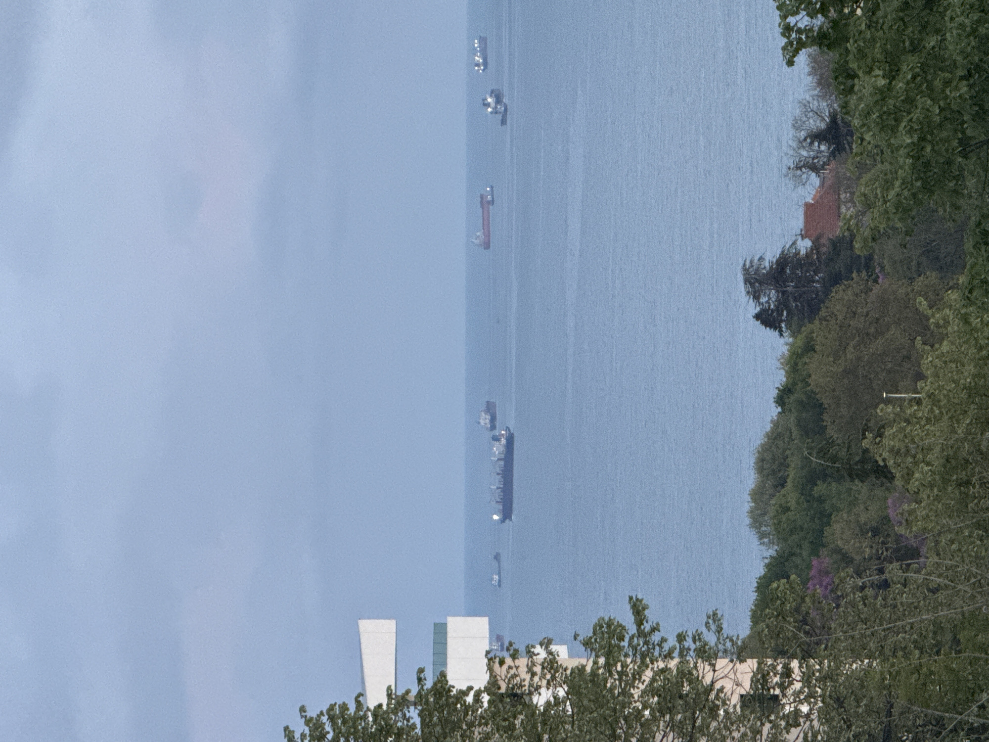 The image shows a body of water with several ships, viewed from an elevated position in Varna, Bulgaria. In the foreground are tree branches and part of a modern white building with flat roofs. The water extends towards the horizon, appearing hazy. Several ships of various sizes are visible on the water, lined up horizontally. The right side of the frame features trees and a building with a red roof. The sky is overcast.