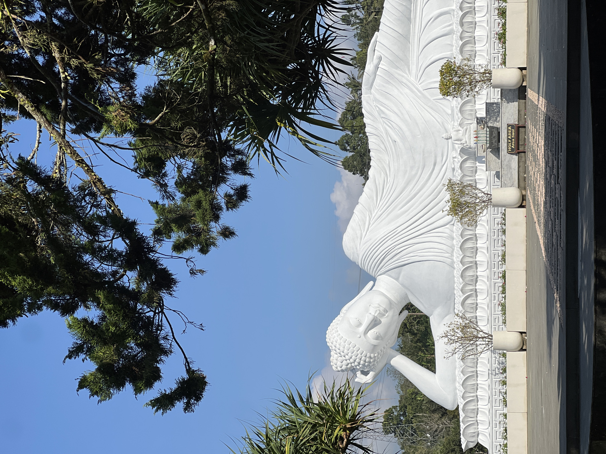 This is a full, eye-level, outdoor shot of a large white reclining Buddha statue in Pupuan, Indonesia. The statue is positioned on a raised platform adorned with decorative patterns. In front of the platform, there are two large white planters with small trees. Directly in front of the statue, a smaller Buddha statue sits on an altar, surrounded by offerings and incense. A sign that reads "HOLY AREA - Area Suci" is visible. The ground in front of the platform is paved with dark stone tiles, with a scattering of pink flower petals on some sections. Trees and greenery are visible in the background, and a bright blue sky with scattered clouds forms the upper portion of the image. Pine tree branches overhang the top of the frame.