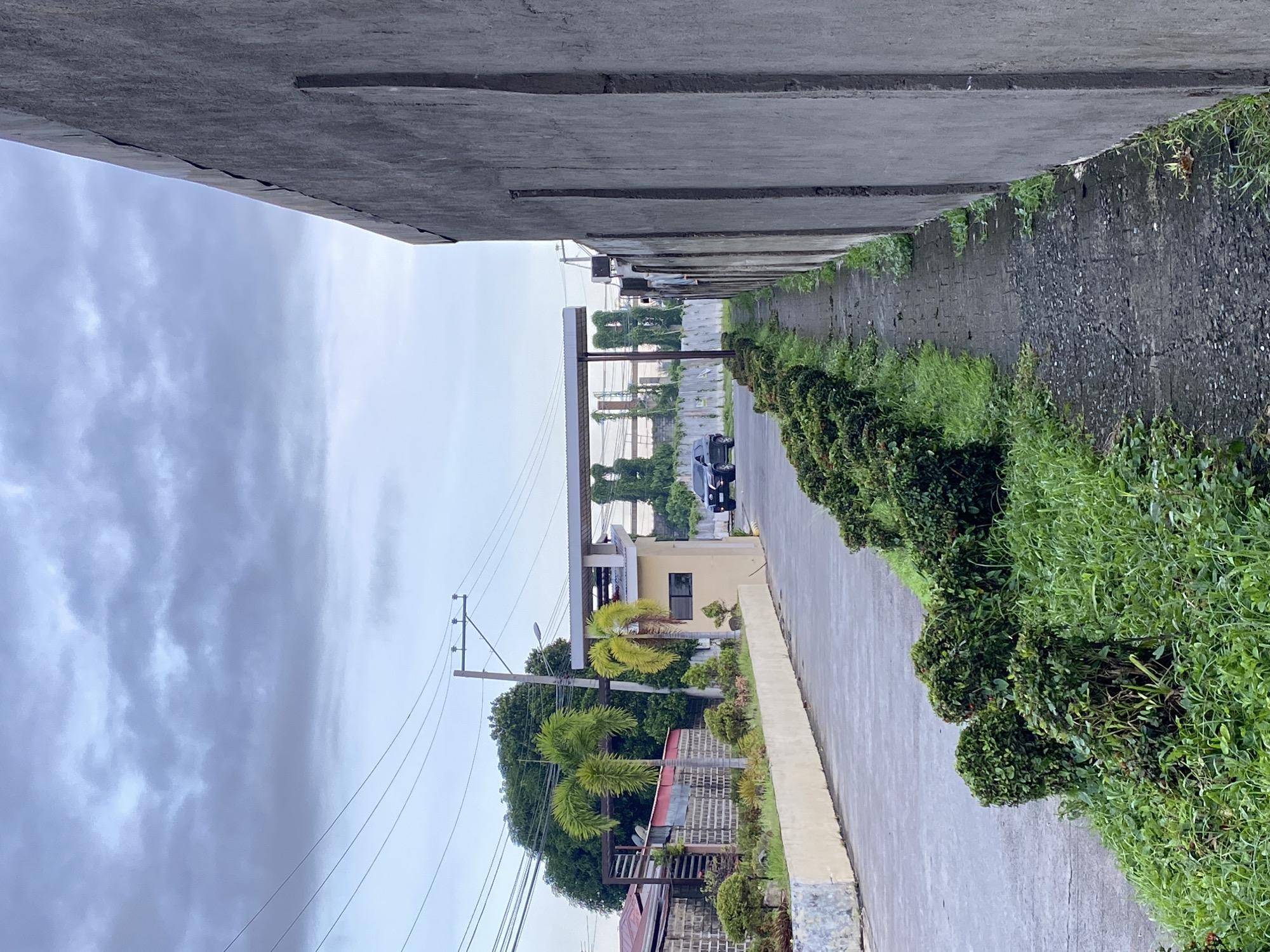 The image displays an outdoor scene, likely a street or private road, under an overcast sky. On the far left, a tall, imposing concrete wall or support structure, possibly part of an overpass or elevated pathway, dominates the side of the frame, showing its weathered texture and horizontal joint lines. A paved asphalt road or pathway runs along the base of this concrete structure, extending into the distance.
On the right side of the road, a low concrete curb borders a strip of dense, well-maintained green bushes and grass, suggesting a landscaped area. Further along the road, on the left side, an electrical pole with multiple power lines is visible, extending towards a cluster of buildings and trees. A small, light yellow building with a dark window and a covered entrance stands among several lush palm trees and other tropical foliage. A dark-colored SUV or truck is parked on the side of the road near this building. The sky is uniformly cloudy, indicating an overcast day. No people are present, and no discernable text is visible. The setting appears to be a managed environment, possibly within a subdivision or a similar maintained area in a tropical location such like Davao City, Philippines.