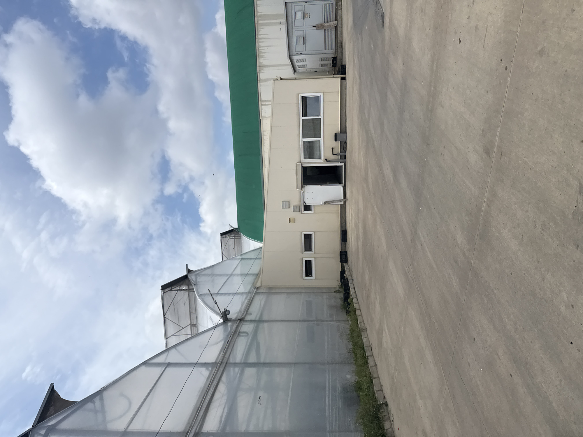 This image captures an outdoor scene at an industrial or agricultural facility in Stara Zagora, Bulgaria, under a partly cloudy sky. The photograph is oriented vertically, but depicts a horizontal landscape.
On the left side of the frame, a large greenhouse structure with a translucent, possibly plastic, covering and a sloped, curved roof is visible. Its framework is dark, contrasting with the light panels. Adjacent to the greenhouse, and extending towards the right, stands a cream-colored, multi-story building. This building features several rectangular windows, with the bottom one appearing slightly ajar, and an open doorway or service entrance below. A flat section of its roof is covered with a dark green material. Behind this cream building, a taller, gray structure with industrial panels and external ventilation or electrical units is partially visible. Faint, barely legible text that might read "PIRAE" is present on one of these gray units.
The right side of the image is dominated by a wide, light gray concrete pavement, showing distinct expansion joints, suggesting a driveway or service area. A narrow strip of green grass and weeds grows along the edge of the concrete where it meets the buildings. Above the structures, the sky is bright blue with scattered, puffy white cumulus clouds. Small dark specks, likely birds, are seen flying high in the sky.
The scene depicts a clear daytime setting, likely late morning or early afternoon, given the bright illumination. There are no people visible, and no specific activities are taking place, presenting a static view of the facility's infrastructure.