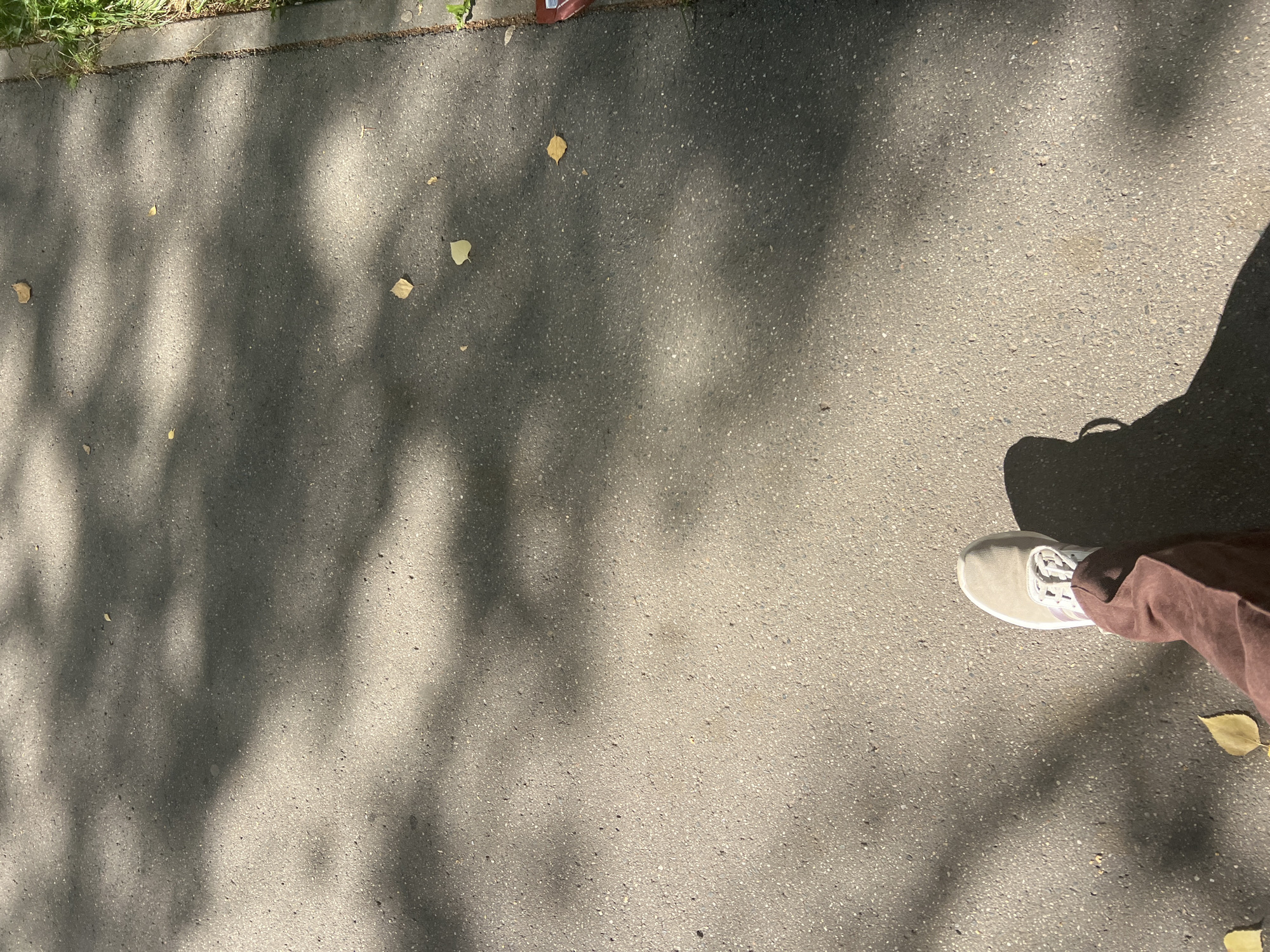 A person's left foot, wearing a light-colored sneaker with white laces and brown pants, casts a long shadow on a grey asphalt surface. The asphalt is speckled with small white and grey stones, typical of a sidewalk or path. Several fallen yellow leaves are scattered across the surface. Sunlight filters through unseen foliage, creating dappled shadows across the ground. To the right, a strip of green grass is visible along the edge of the asphalt. A small portion of a red and white object, possibly a wrapper, is also present near the grass. The scene is an outdoor environment on a bright, sunny day.