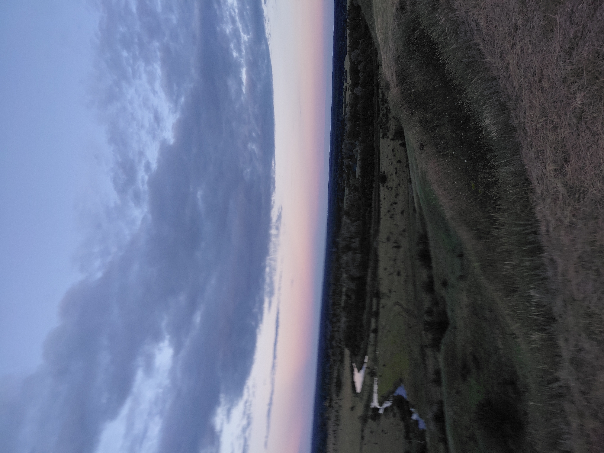 An aerial, wide shot captures a rural landscape at dusk. The sky is a gradient of pale blue at the top, transitioning to a soft pink and then to a darker twilight blue towards the horizon. A few scattered, dark gray clouds drift across the upper portion of the sky. Below the horizon, a flat expanse of dark green trees borders a winding, light blue river that snakes through a field of green grass. In the foreground, a grassy hill slopes down, with the grass in the foreground appearing dry and light brown, contrasting with the darker green of the distant fields. The overall mood is serene and peaceful.