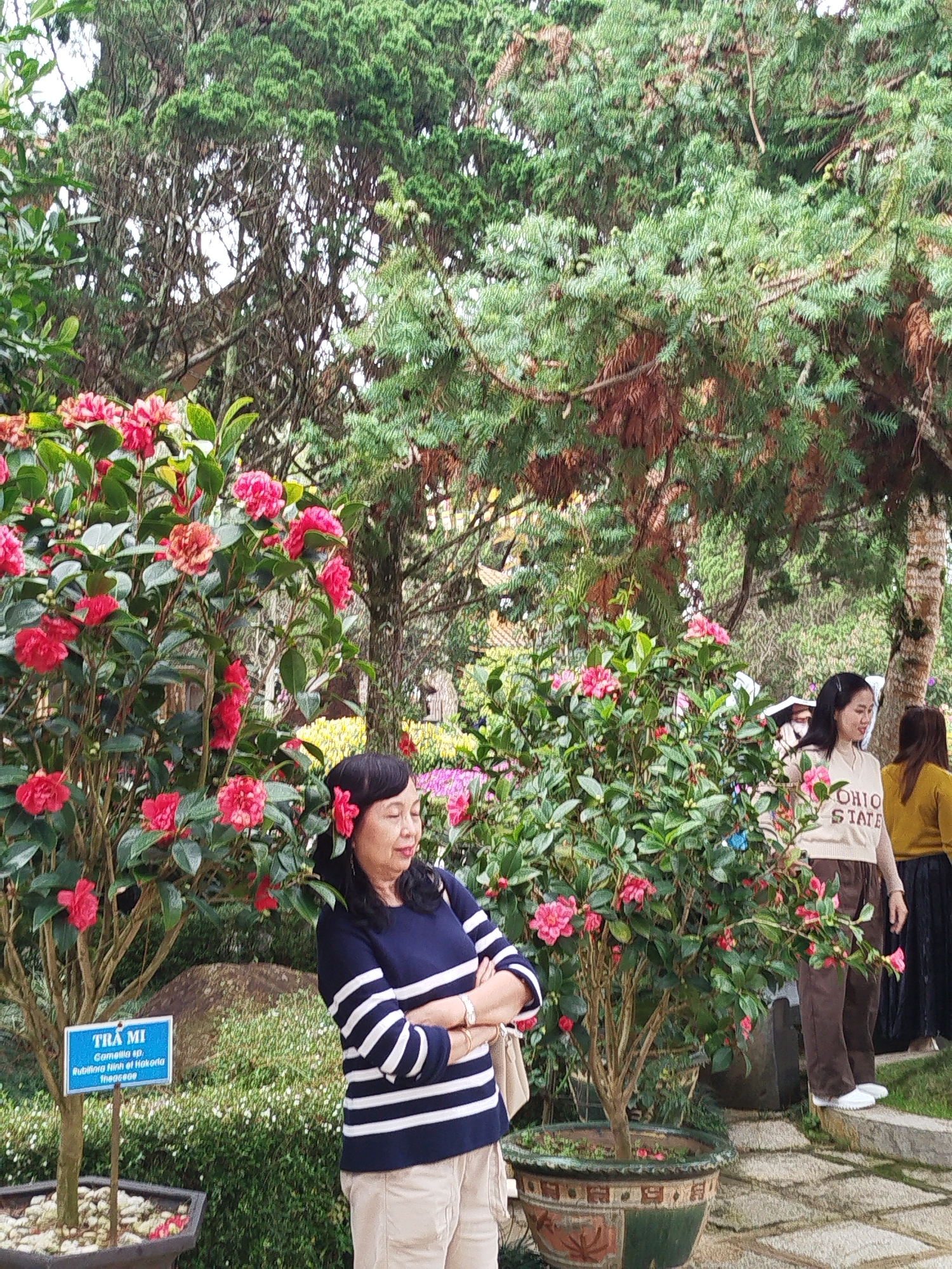 Memory