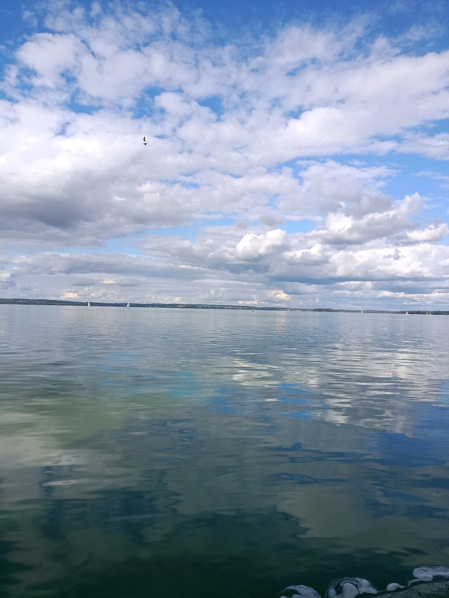 A photograph captures a serene lake on a cloudy day. The sky is a mix of blue and white, with fluffy cumulus clouds scattered across it. In the distance, a thin line of land with trees and buildings marks the horizon. Several sailboats with white sails are visible on the water, creating small white triangles against the vast expanse of blue. The water itself is calm and reflects the sky and clouds, creating a mirror-like effect. A single bird is silhouetted against the sky. The bottom edge of the frame shows a bit of what appears to be foam or debris on the water's surface. The scene is peaceful and evokes a sense of tranquility. The location is listed as Unknown City, Unknown.