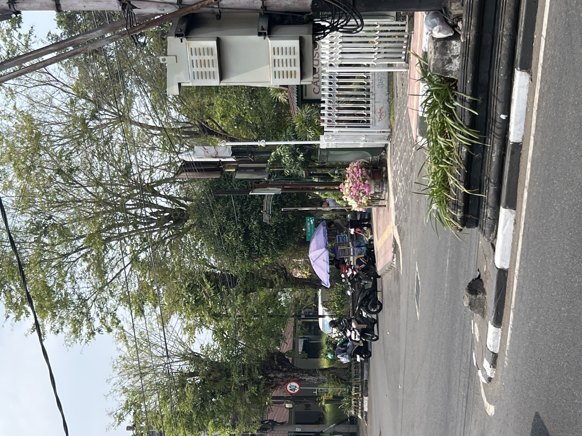 This is an outdoor, eye-level shot of a street scene in Yogyakarta, Indonesia, on a cloudy day. On the left side of the image, several motorcycles are parked and in motion, with three riders visible. One motorcycle, a black scooter, is in the foreground, and another, a red scooter, is behind it. A small, purple umbrella is set up near a food stall, where two people are visible. The food stall is decorated with colorful images. To the right of the food stall, a white metal fence encloses a property, and a tall, grey electrical transformer box is mounted on a pole. Several potted plants with pink flowers are placed in front of the fence. The street is paved with asphalt, and there are white and black painted curbs and a small traffic island in the foreground. Trees with green foliage are abundant throughout the scene. A traffic sign indicating a speed limit of 40 is visible on a pole on the left side of the image.