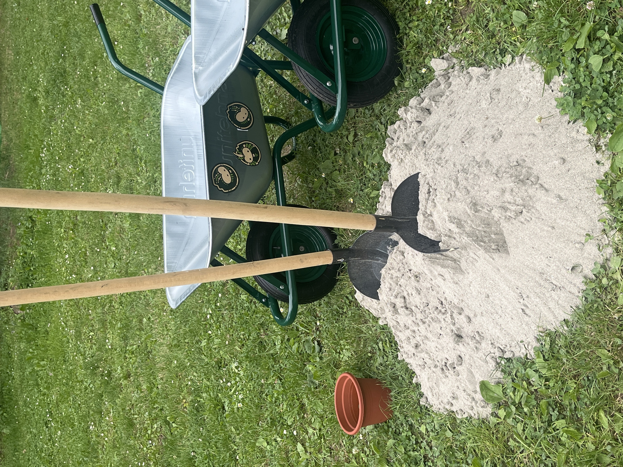 An outdoor scene in Sremski Karlovci Municipality, Serbia, depicts gardening or construction materials arranged on a patch of green grass. In the center of the frame, an irregular mound of light grey, granular material, consistent with sand or fine aggregate, rests on the turf. Two shovels are plunged upright into this mound; both have long, light-colored wooden handles and black, spade-shaped blades.
To the upper right, two galvanized metal wheelbarrows are partially visible. Both feature dark green tubular frames and black rubber tires with green hubs. The left wheelbarrow's basin displays partial, inverted text that appears to be "urleinu" and three circular, olive-green stickers depicting cartoon animal faces. The right wheelbarrow shows a black handle grip and a fully visible wheel.
In the lower-left quadrant of the image, an empty, reddish-brown plant pot, appearing to be terracotta or terracotta-style plastic, sits on the grass. The ground throughout the scene is covered in green grass interspersed with small white clover flowers and some broader-leafed weeds. The background is a soft-focus expanse of green foliage, suggesting trees or bushes. The lighting is bright and diffused, indicating an overcast day or indirect sunlight. No individuals are present in the image.