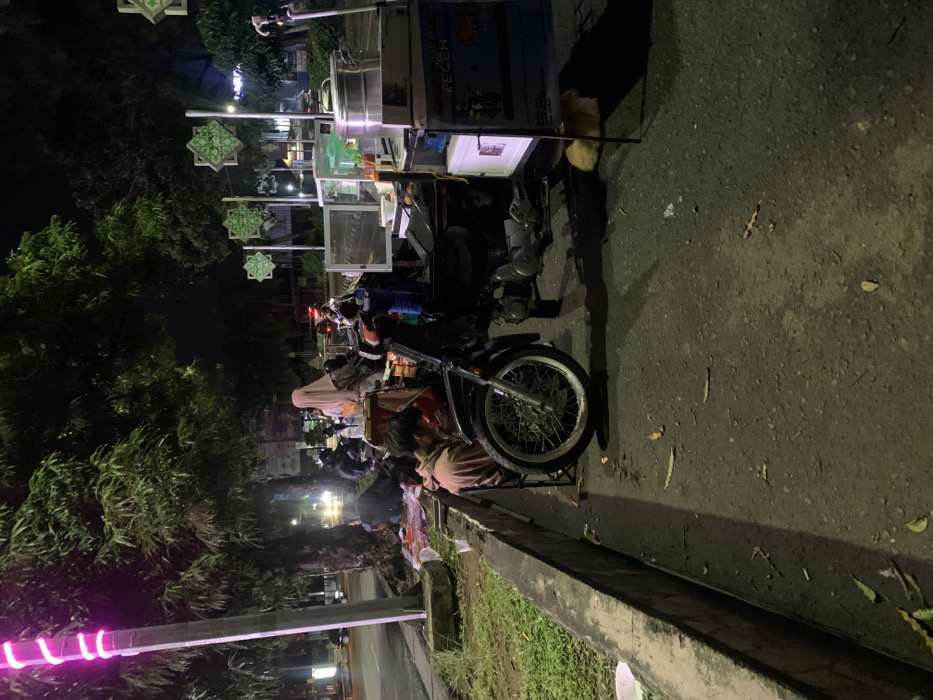 The image captures a vibrant night scene of a street food vendor in Metro, Indonesia. Dominating the right side of the frame is a food cart attached to a motorcycle, characteristic of mobile food stalls. The cart features display cases, a large metal pot on top, and likely contains food items for sale. A person is seated on a low stool beside the motorcycle, appearing to tend to the stall or wait for customers. A cat is visible resting under the food cart.
The setting is outdoors at night, with illumination provided by streetlights and the vendor's own lighting. Dense trees and foliage line the left side of the street, suggesting a park or green area. Above the street, several decorative lights shaped like green Islamic geometric patterns are suspended, adding a distinct cultural touch. Further down the street, other people are visible, indicating an active social or commercial environment. A concrete barrier separates the road from a grassy median. In the bottom left, a bright pink neon-like light is partially visible.
The side of the food cart clearly displays the text "BAKSO PENTOL REGEH", indicating that the vendor is selling Bakso Pentol, a type of Indonesian meatball dish, with "Regeh" likely being a brand or descriptor. The scene portrays a typical evening street food operation, bustling with activity under artificial light.
