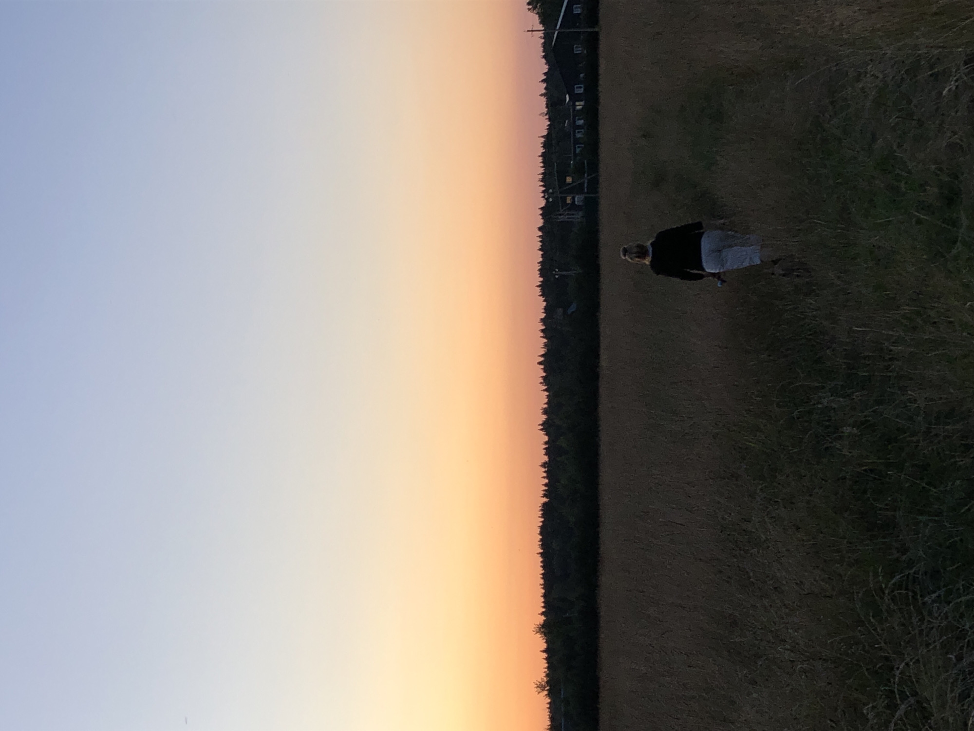 A person with blonde hair pulled into a bun, wearing a black jacket and light-colored pants, walks away from the camera into a field of tall, dry grass. The person is walking on a faint dirt path that disappears into the vegetation. In the background, a dense line of dark green trees forms a horizon beneath a sky that transitions from a pale blue at the top to a warm orange-yellow near the horizon. Faintly visible beyond the trees are structures that appear to be houses with glowing windows, suggesting a rural settlement. The overall scene is set during either sunrise or sunset, indicated by the gradient of colors in the sky. The location is identified as Makeikha, Russia.