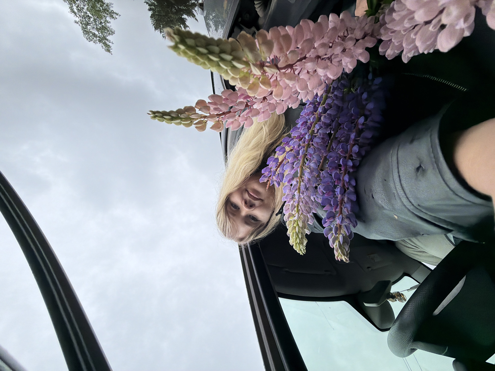 A woman with blond hair peers into the camera from inside a car. The scene is a low-angle shot looking up at the interior of the car, with a view of the sky visible. She is positioned among several lupine flowers. The location is not identifiable as Chaikovsky, Russia from the provided image. The scene includes a car interior featuring a steering wheel, rear-view mirror, and car door frame.